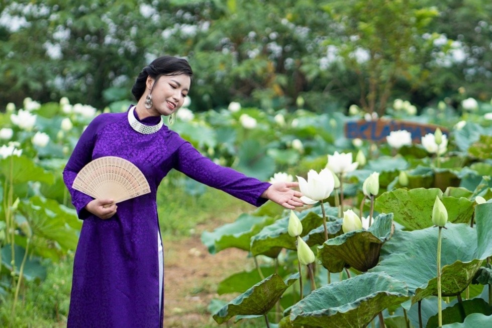 Dam sen trang la hut gioi tre check-in hinh anh