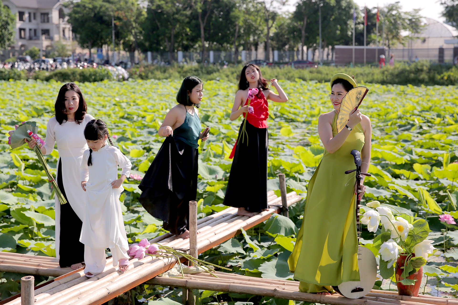 chup anh voi hoa sen anh 3