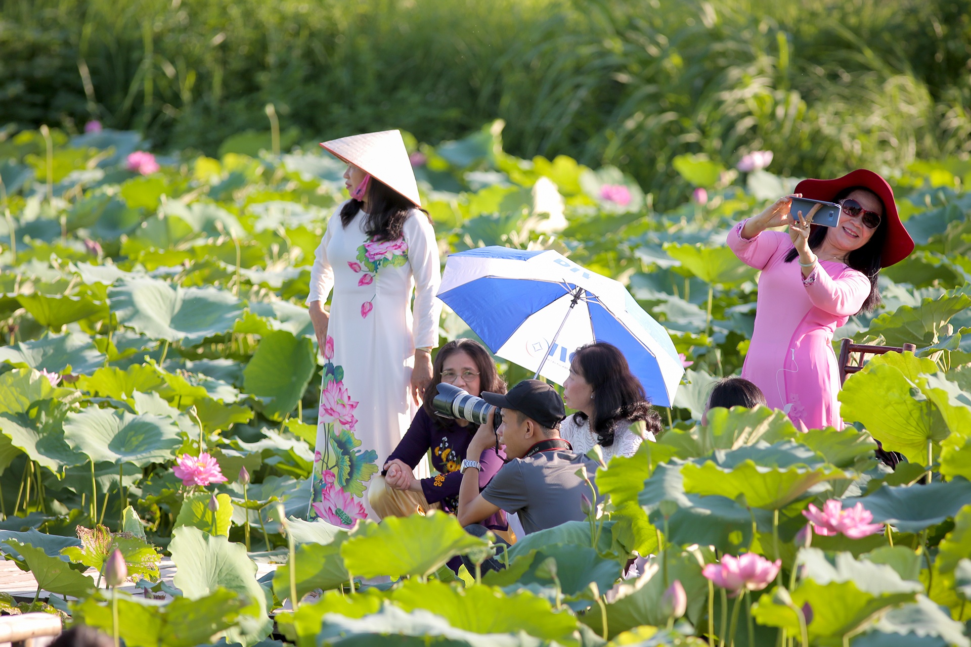 chup anh voi hoa sen anh 4