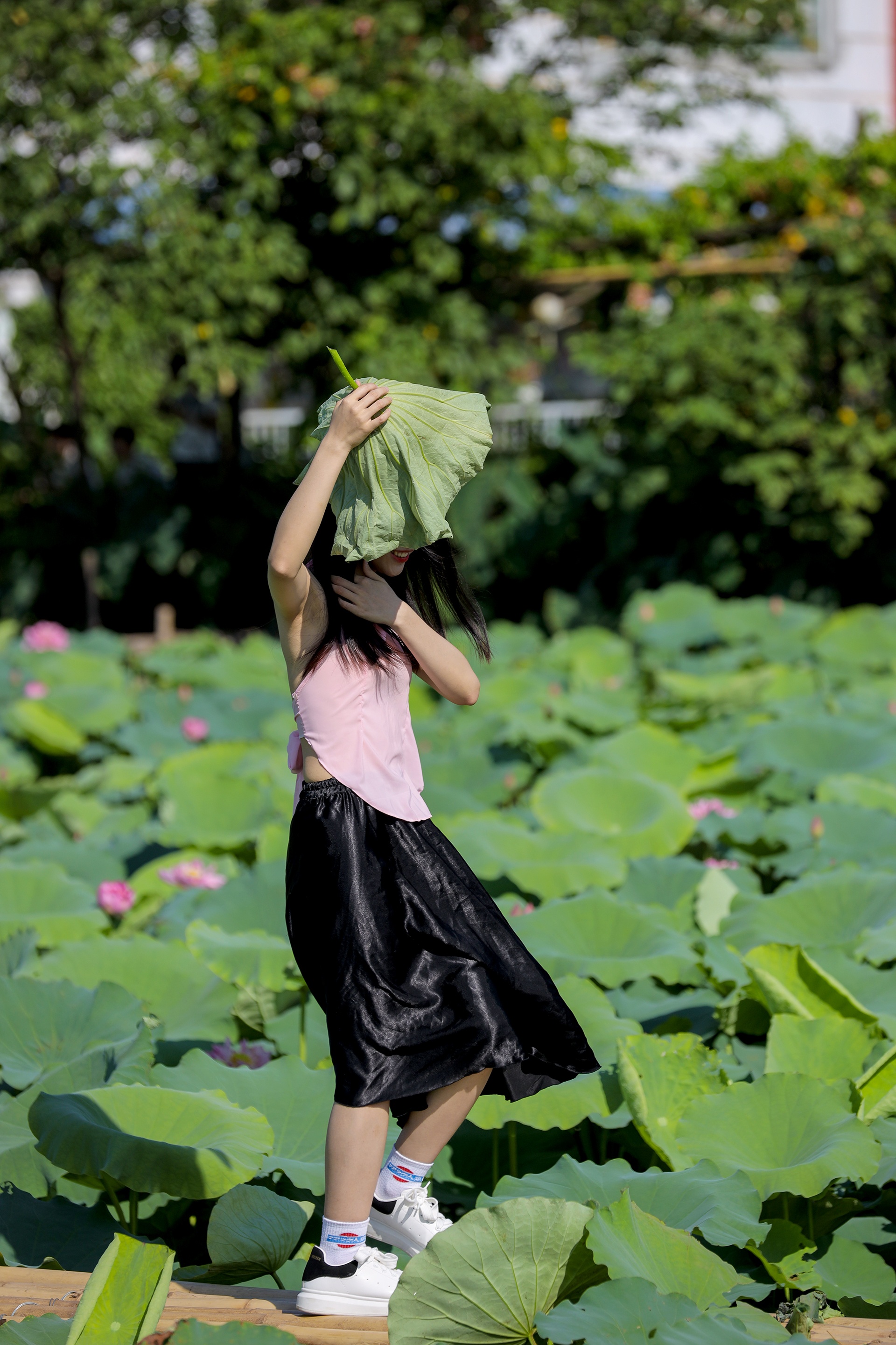 chup anh voi hoa sen anh 10