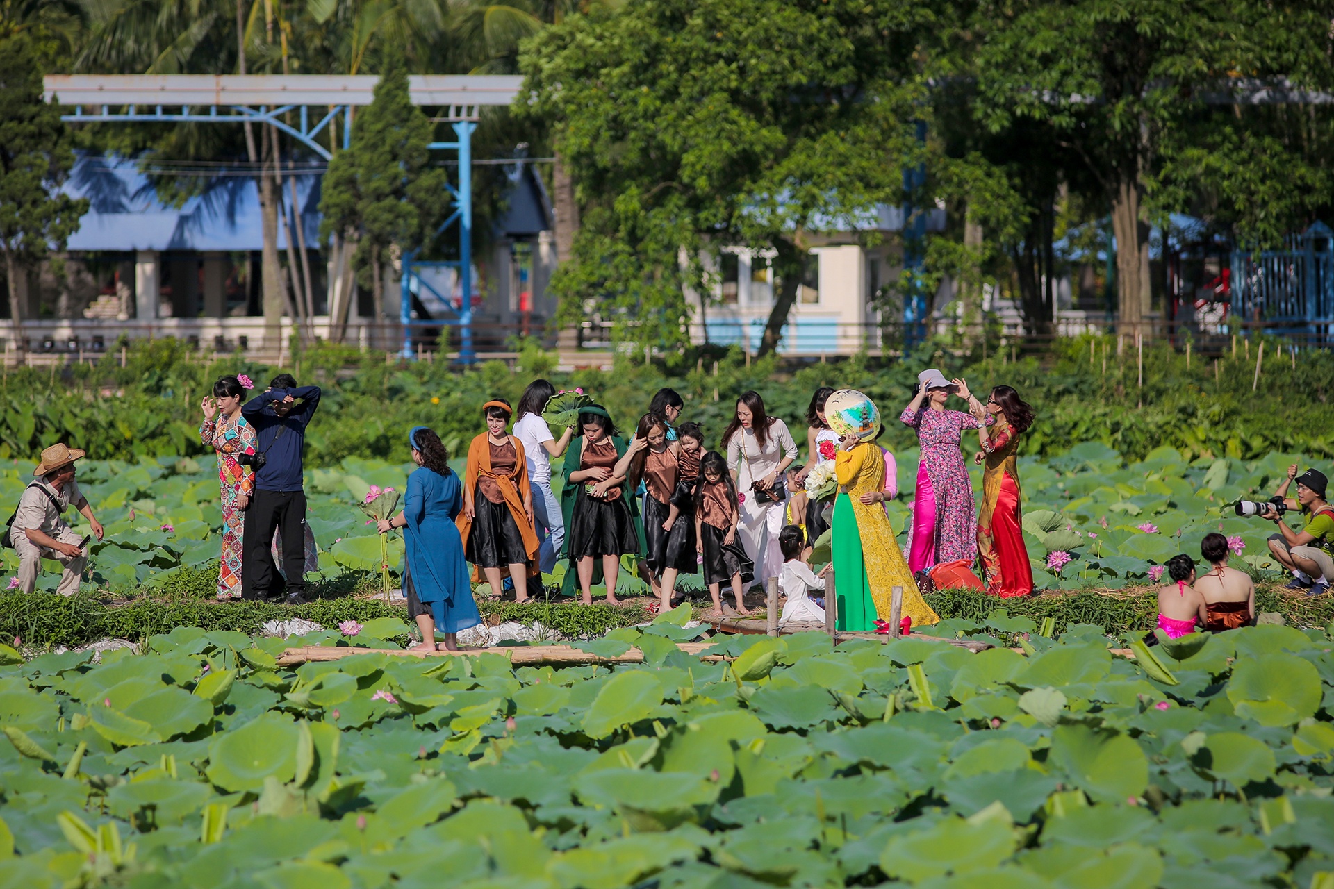 chup anh voi hoa sen anh 7