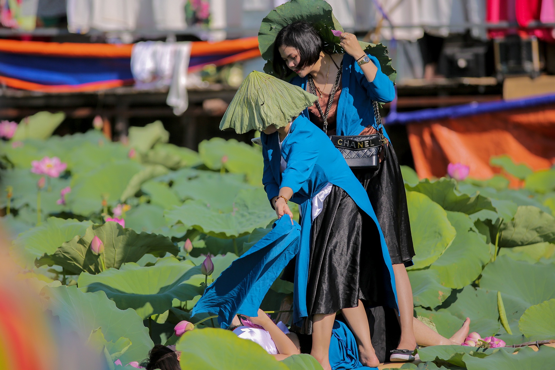 chup anh voi hoa sen anh 5