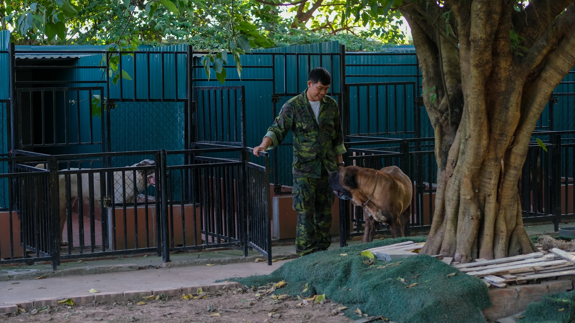 nghe huan luyen cho o Viet Nam anh 12