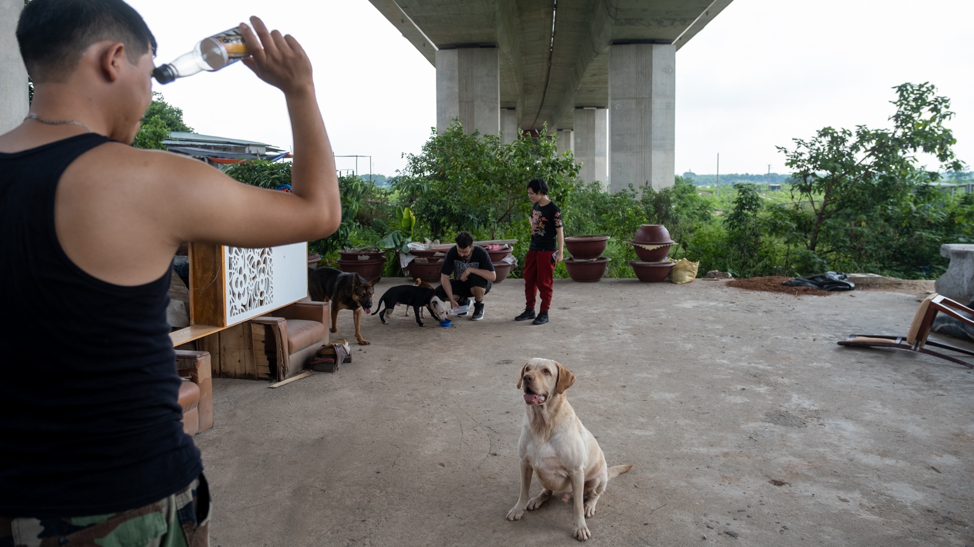 nghe huan luyen cho o Viet Nam anh 13