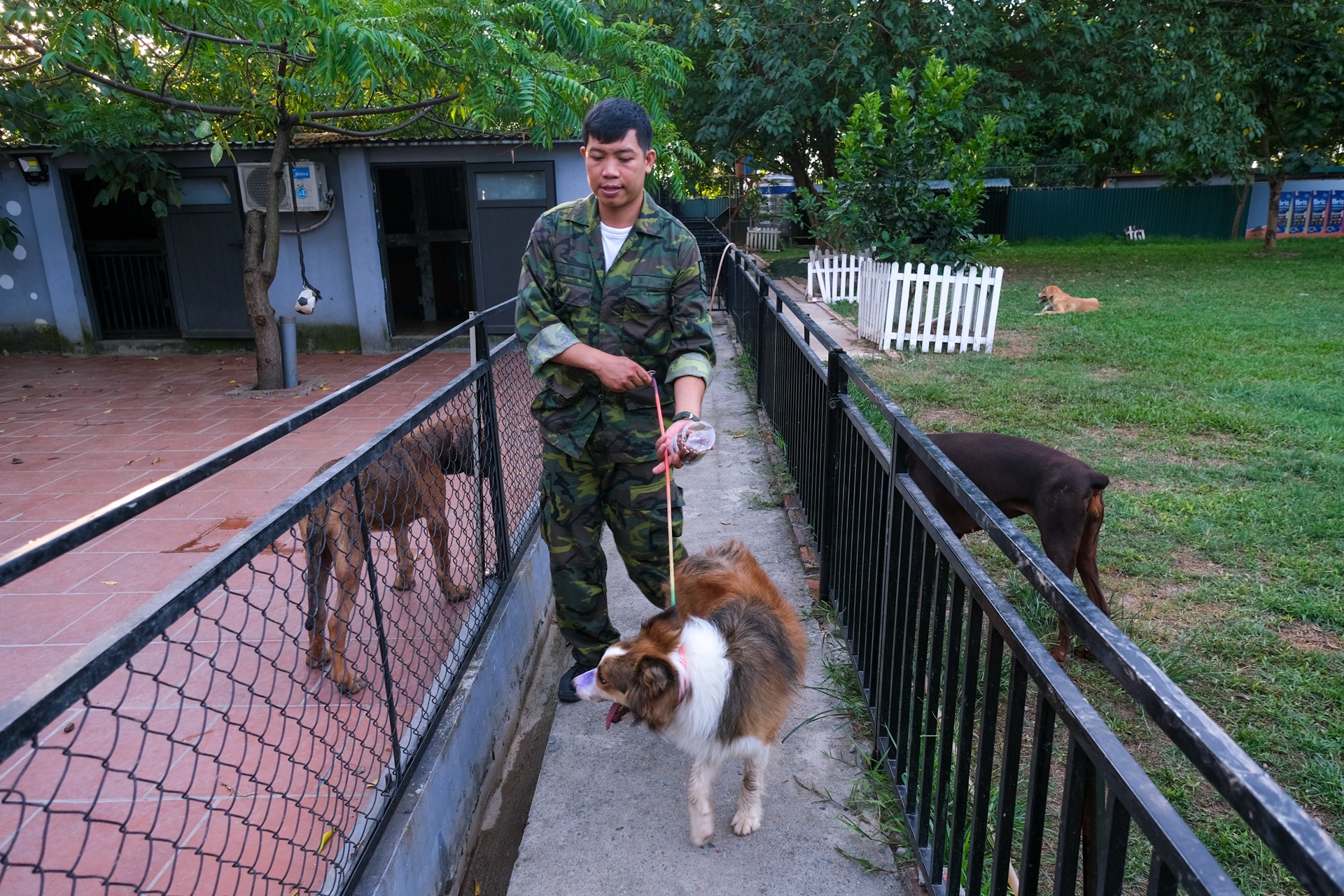 nghe huan luyen cho o Viet Nam anh 15