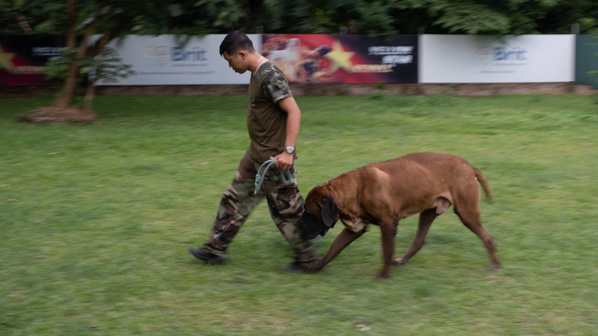 nghe huan luyen cho o Viet Nam anh 2