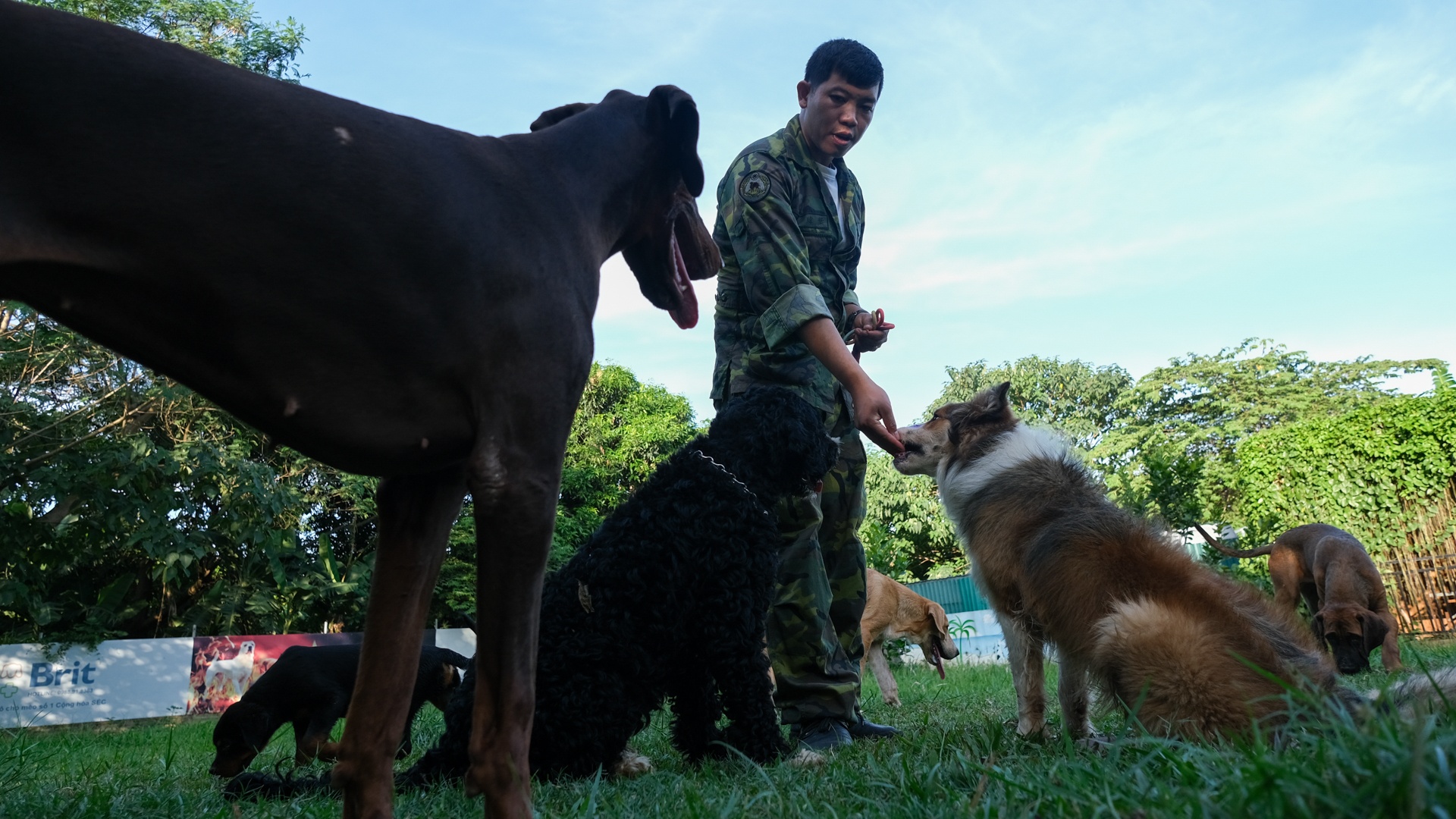 nghe huan luyen cho o Viet Nam anh 3