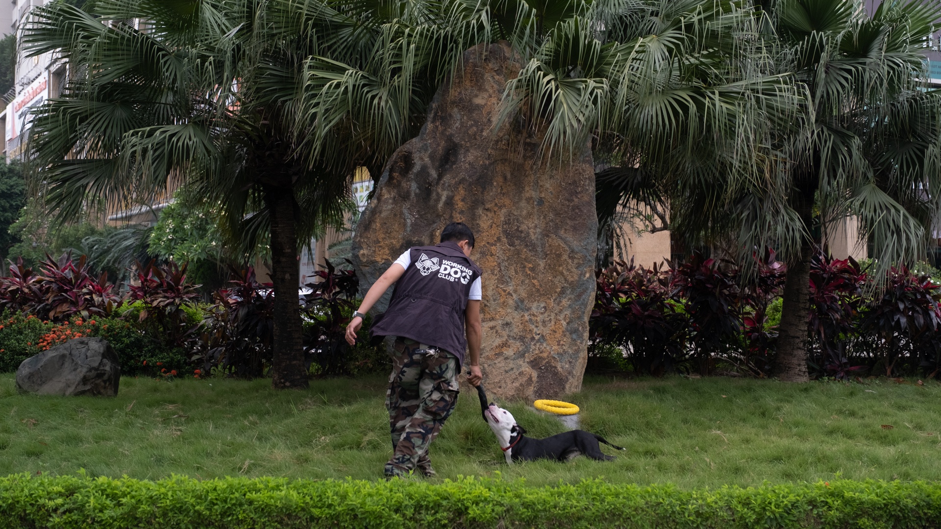 nghe huan luyen cho o Viet Nam anh 5