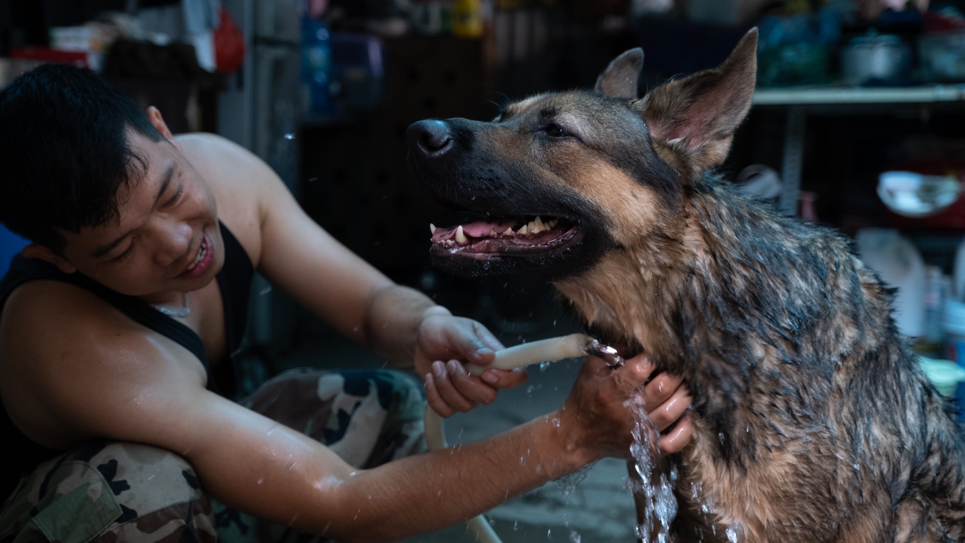 nghe huan luyen cho o Viet Nam anh 11