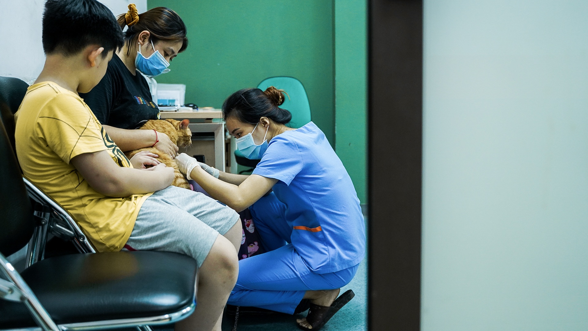 cong viec cua bac si thu y anh 6