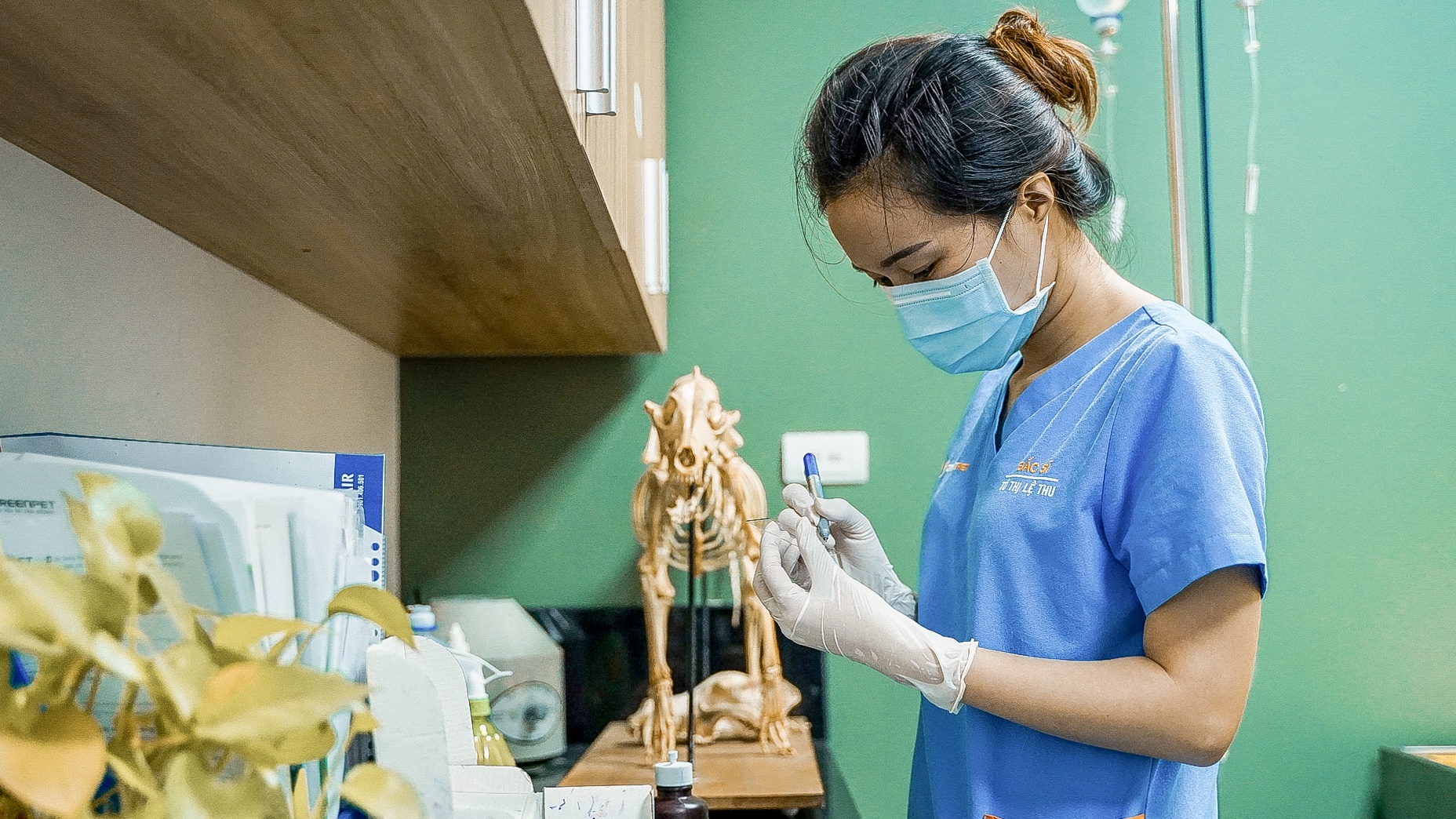 cong viec cua bac si thu y anh 8