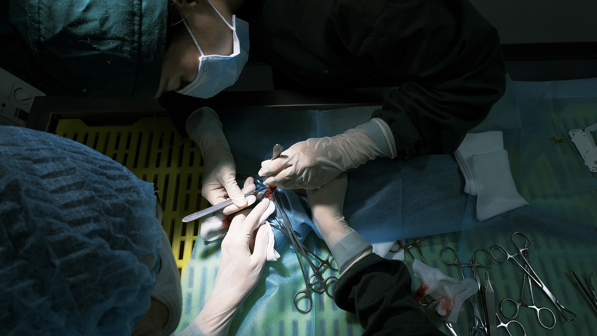 cong viec cua bac si thu y anh 12