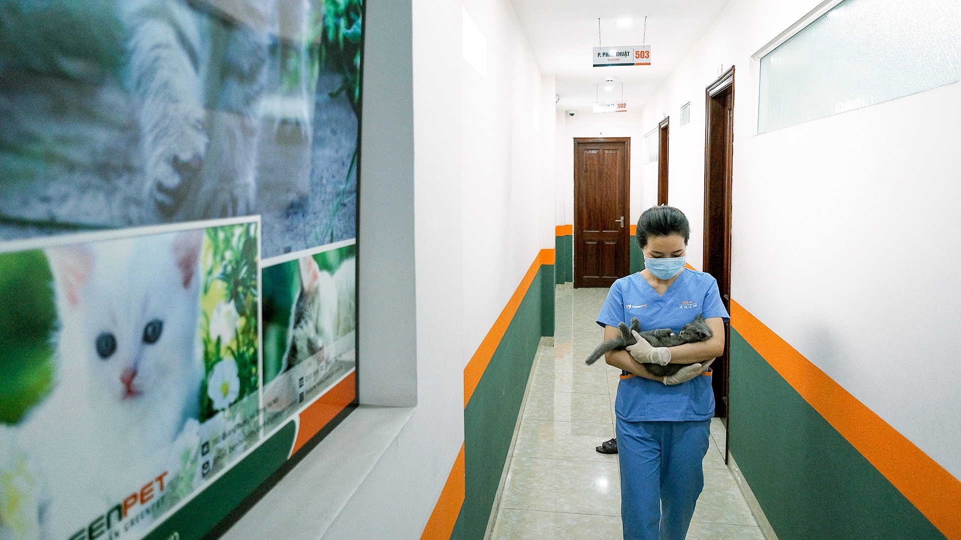 cong viec cua bac si thu y anh 14