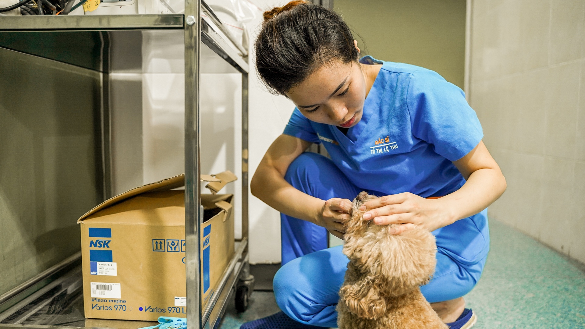 cong viec cua bac si thu y anh 17