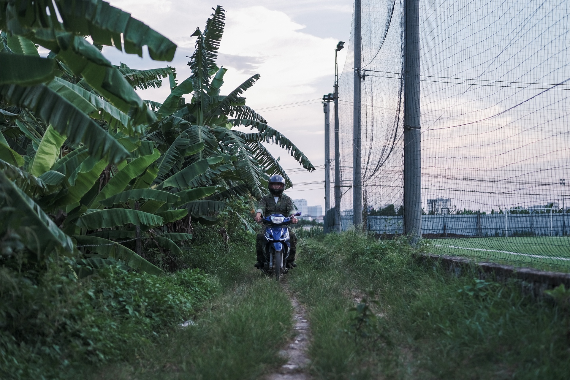 nghe huan luyen cho o Viet Nam anh 8