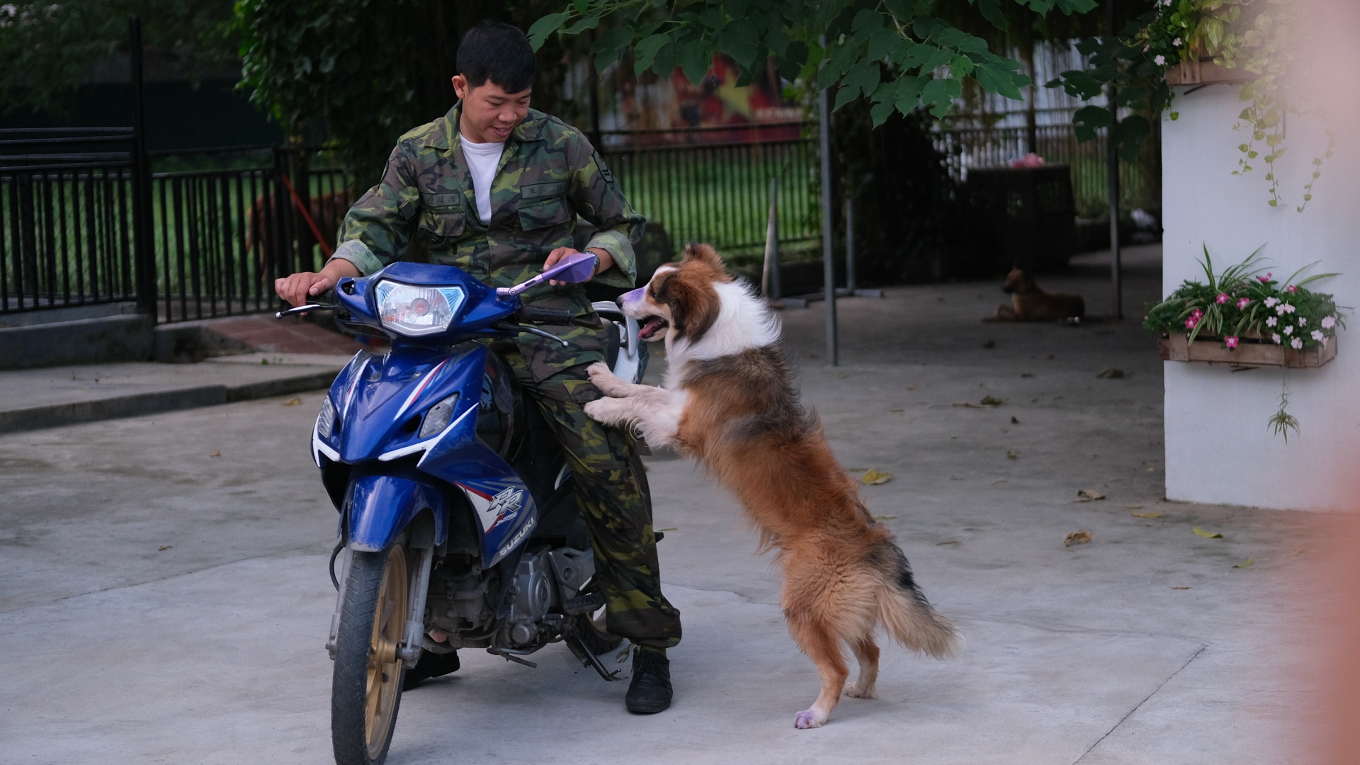 nghe huan luyen cho o Viet Nam anh 9