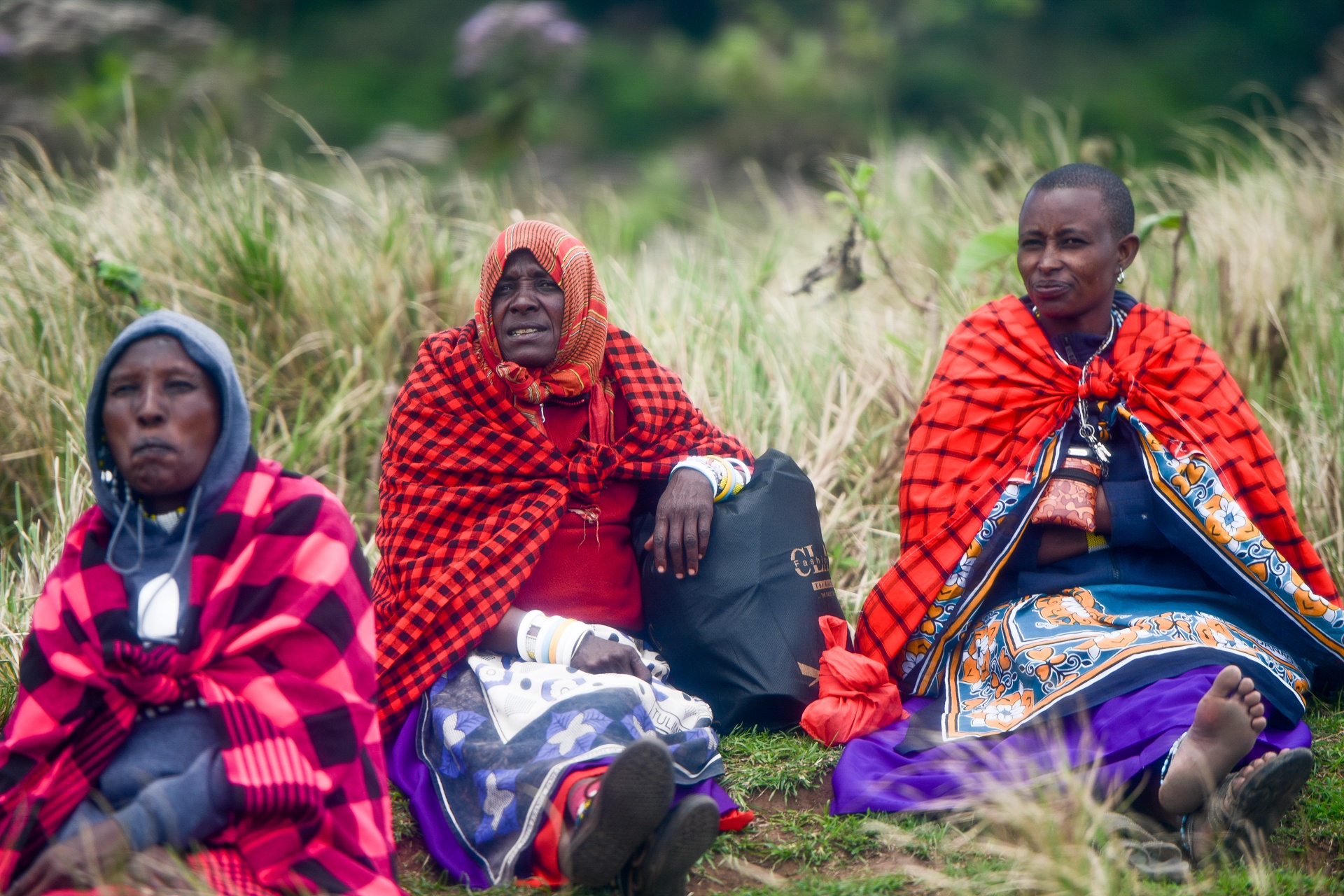 tanzania ảnh 15 tanzania anh 15