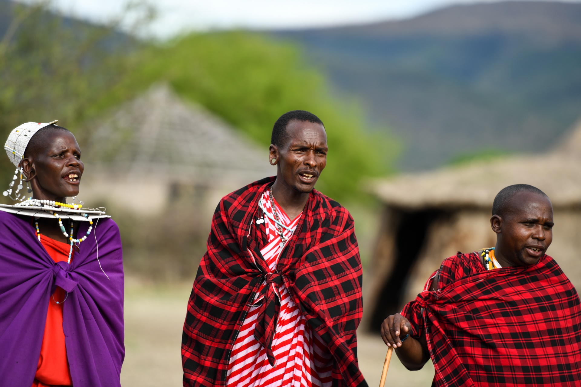 tanzania ảnh 19 tanzania anh 19