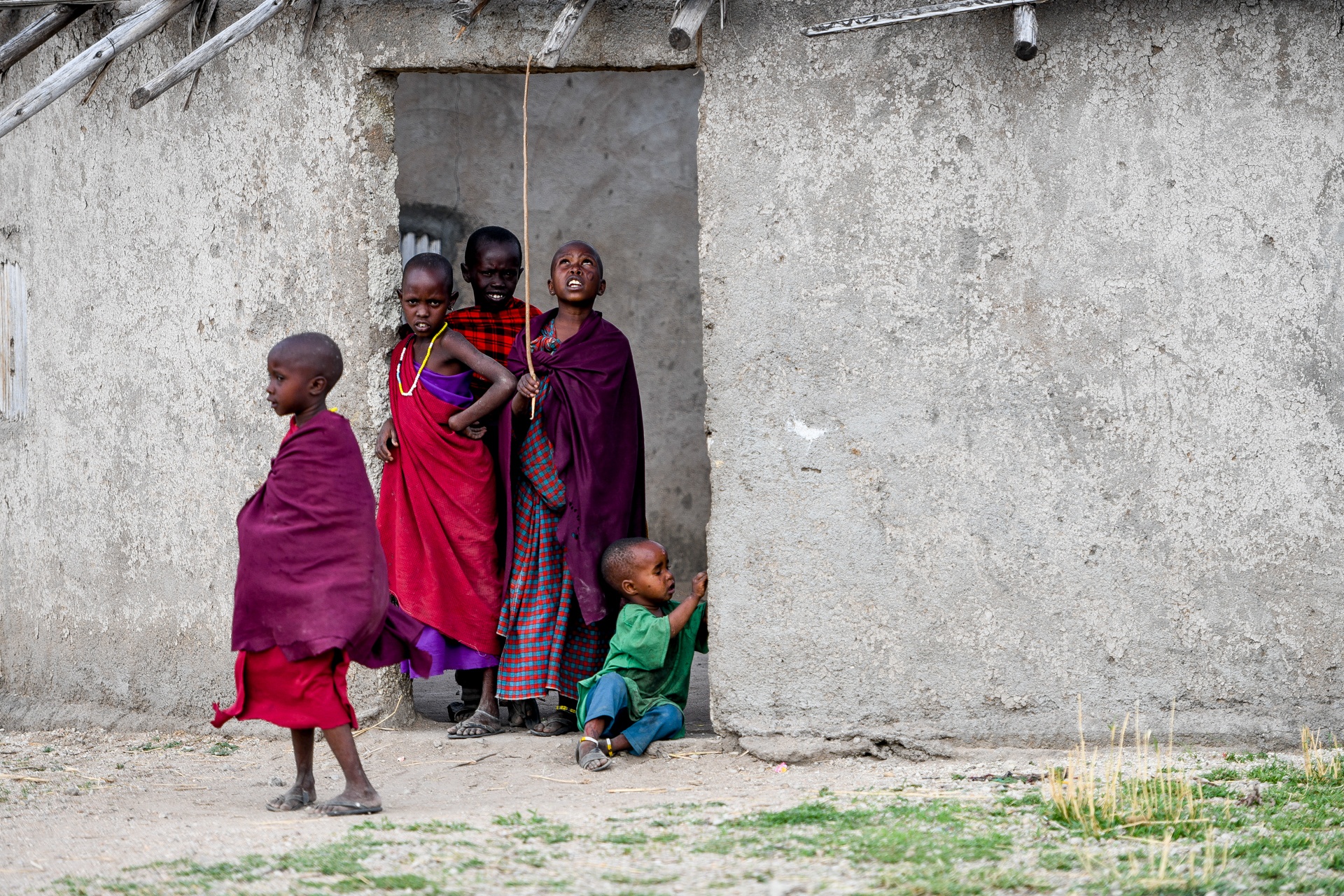 tanzania ảnh 24 tanzania anh 24