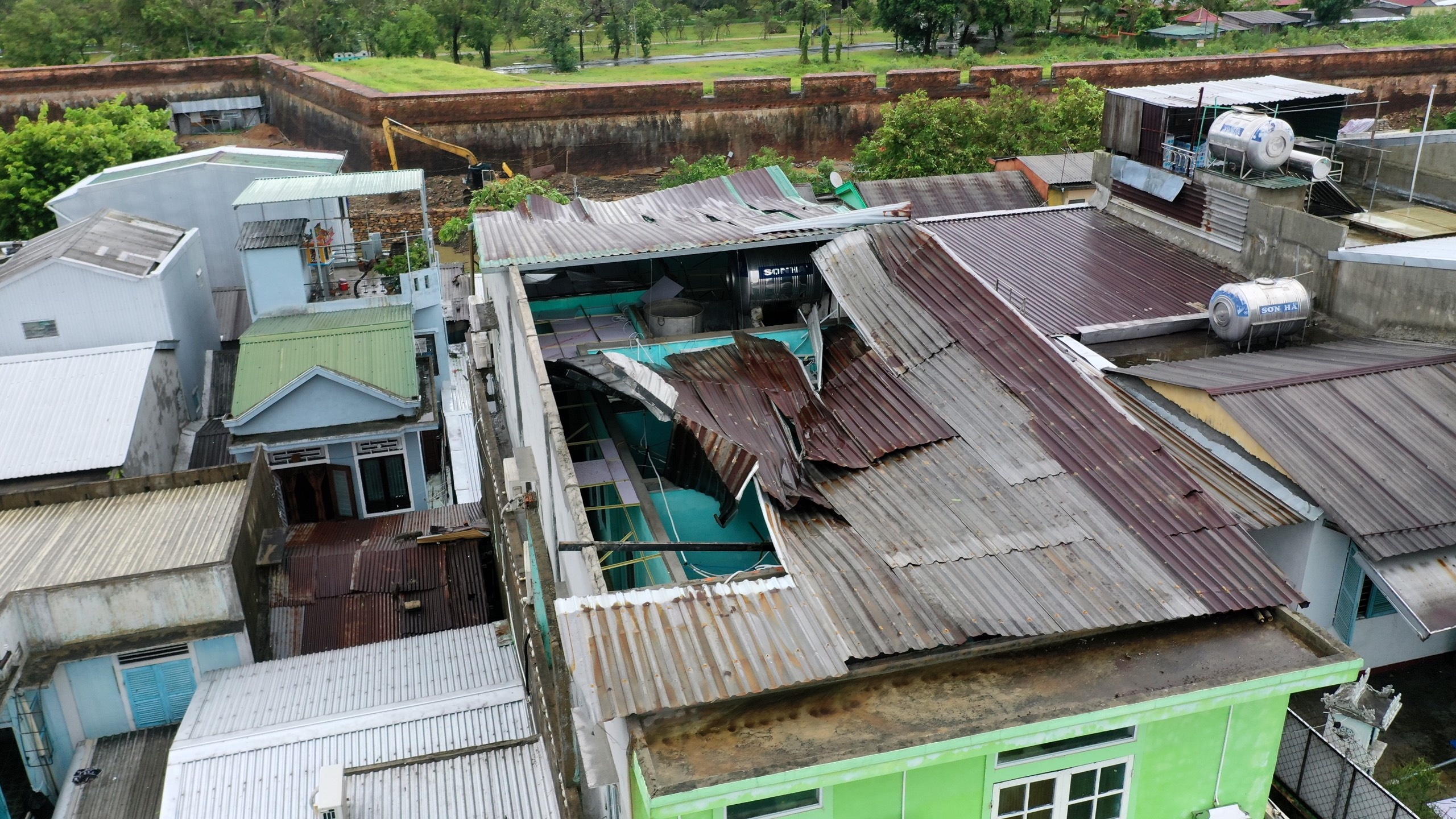 cay bat goc do mua bao anh 5