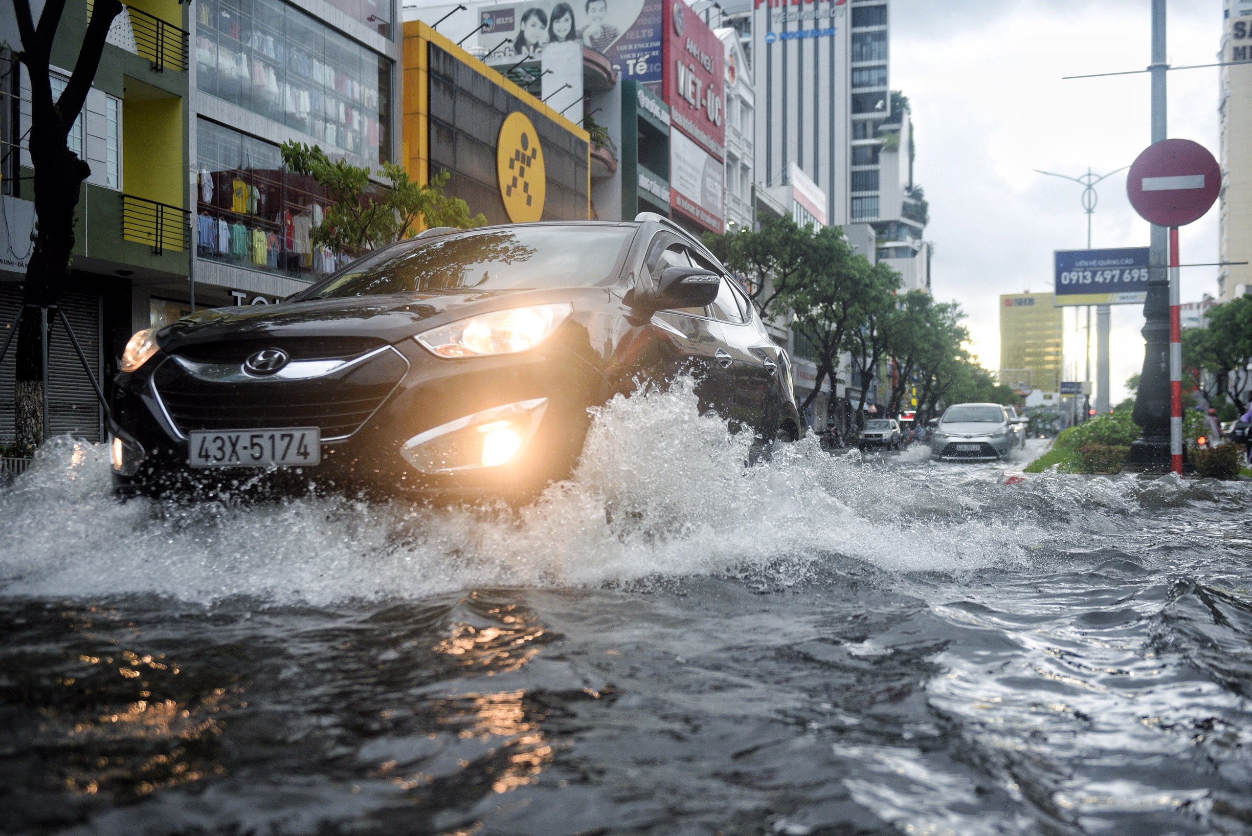 cay bat goc do mua bao anh 10