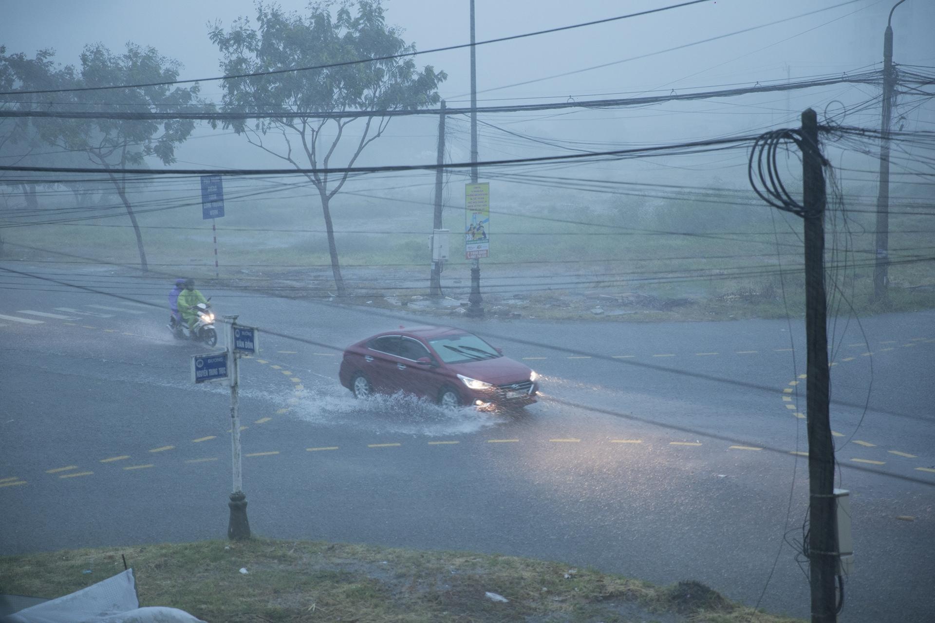 cay bat goc do mua bao anh 8