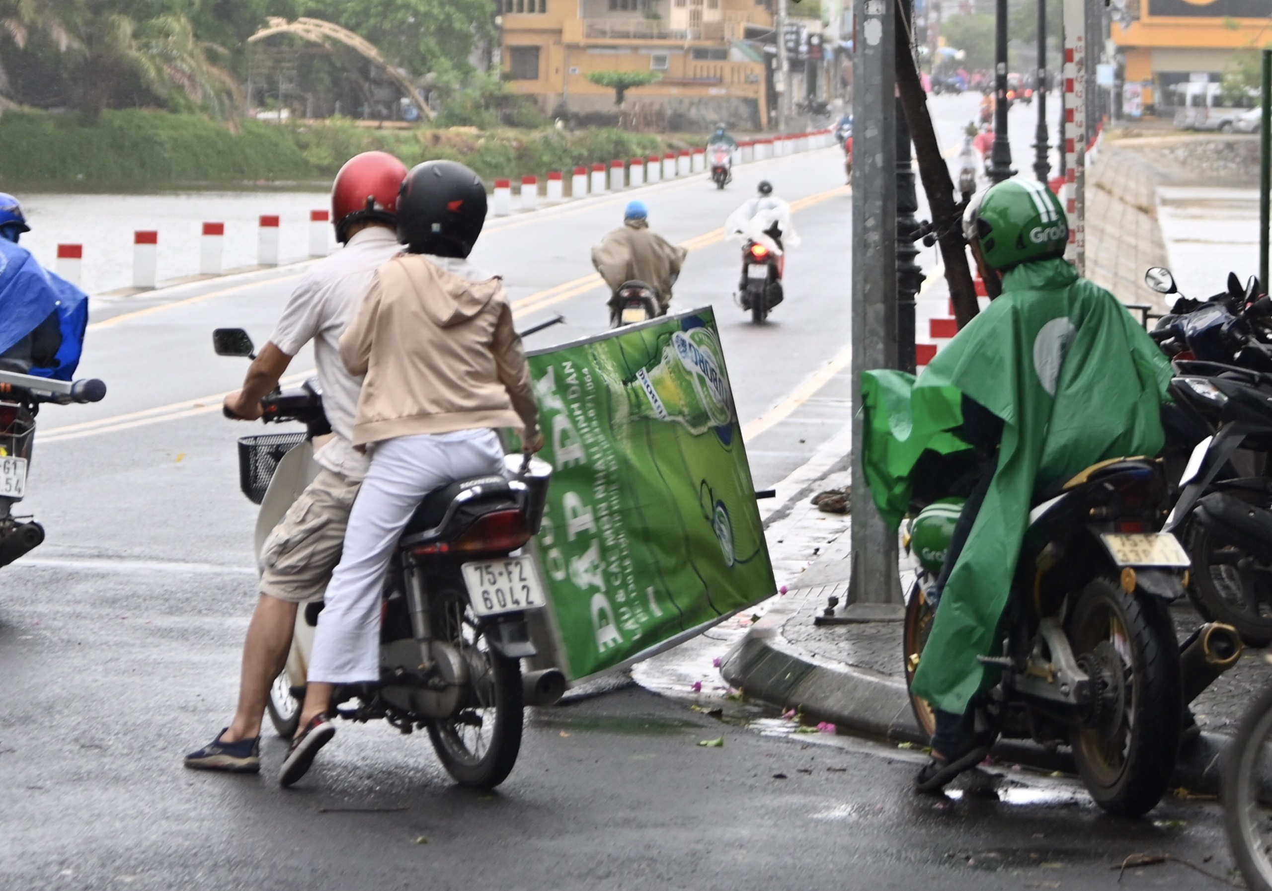 cay bat goc do mua bao anh 6