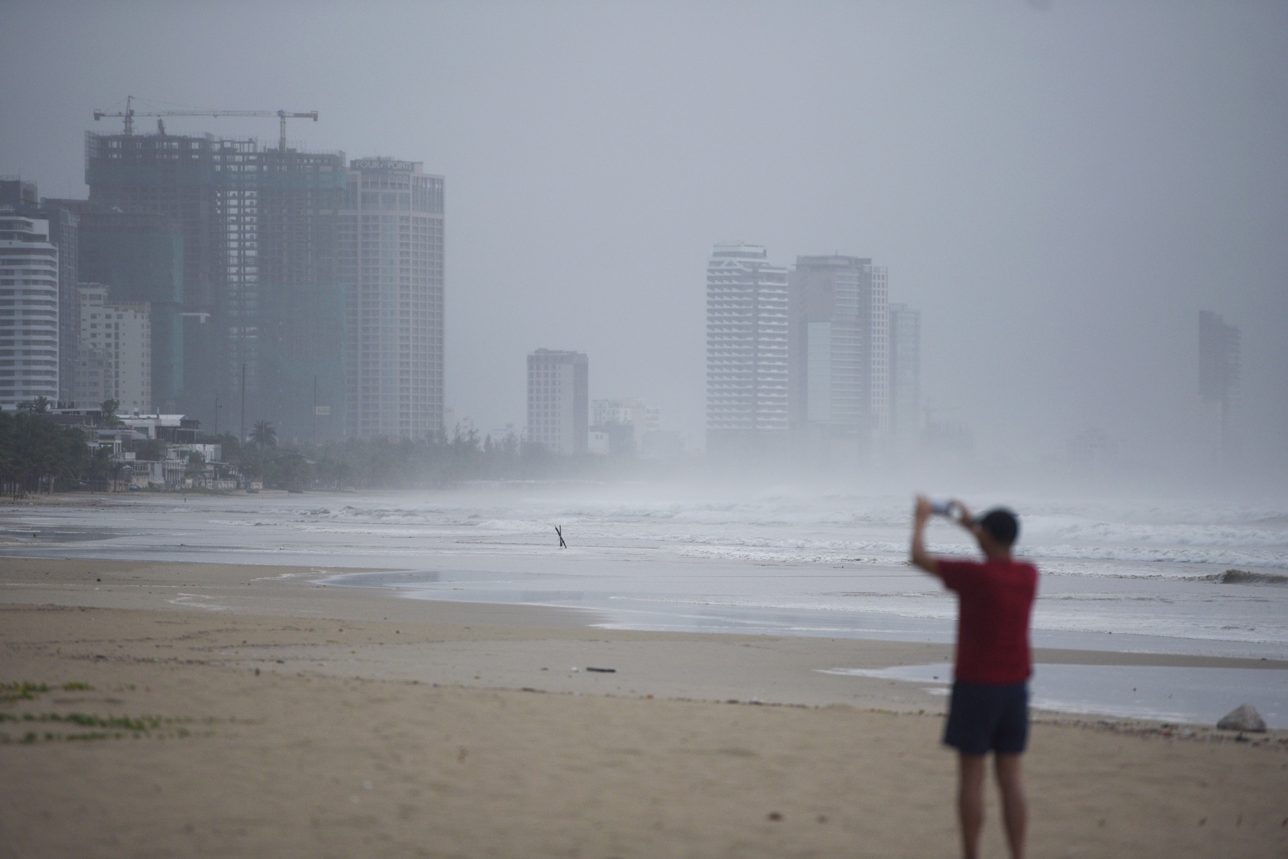 cay bat goc do mua bao anh 9