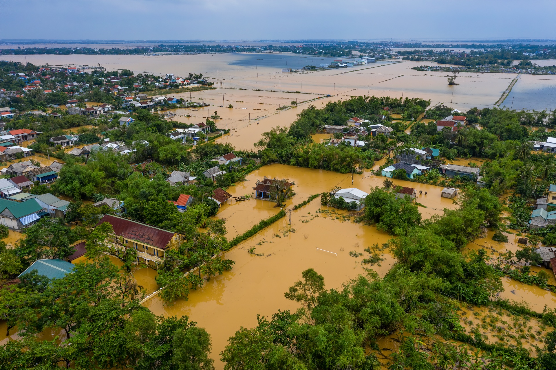 TP Hue chim trong bien nuoc anh 6