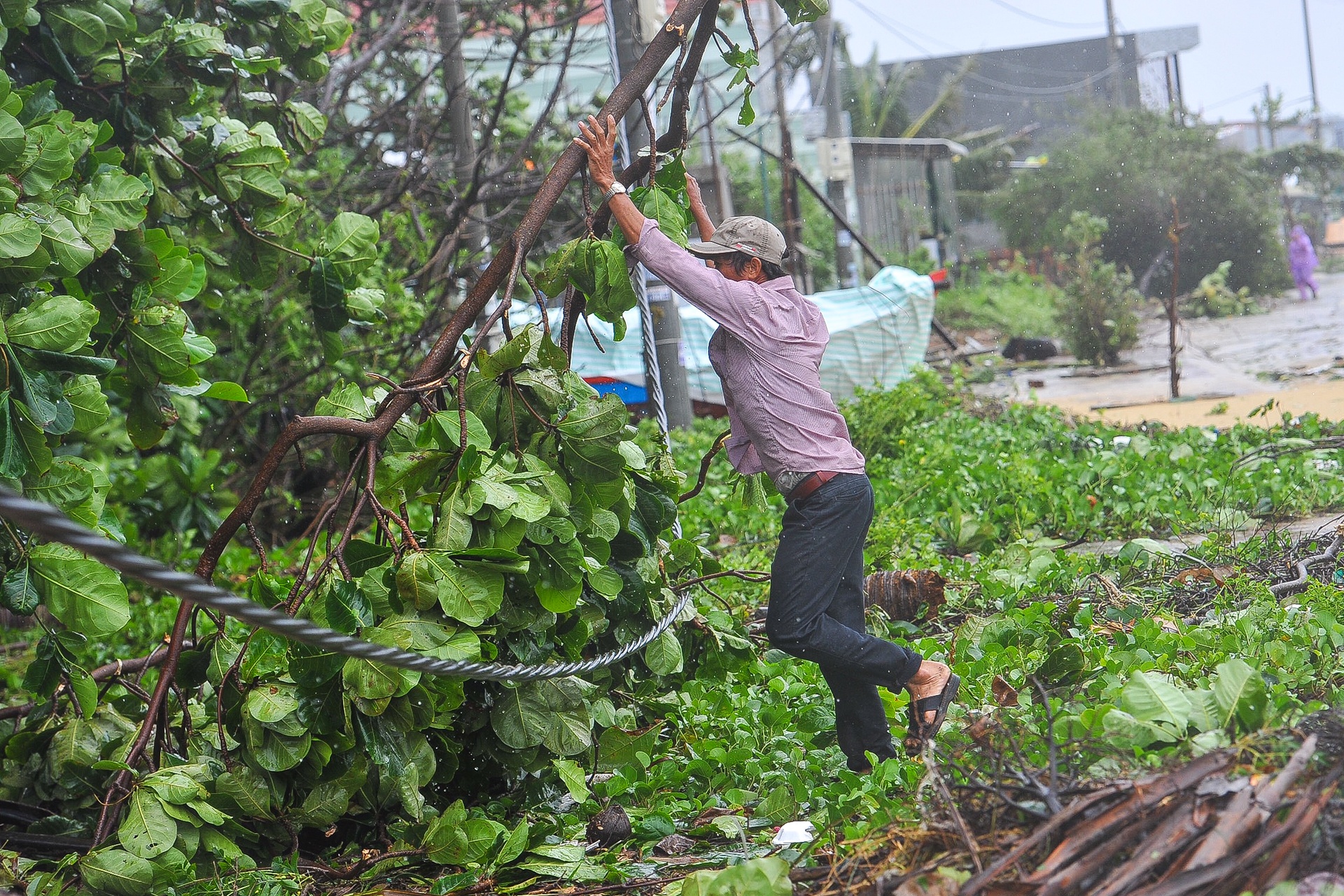 bao so 9 vao mien trung anh 9