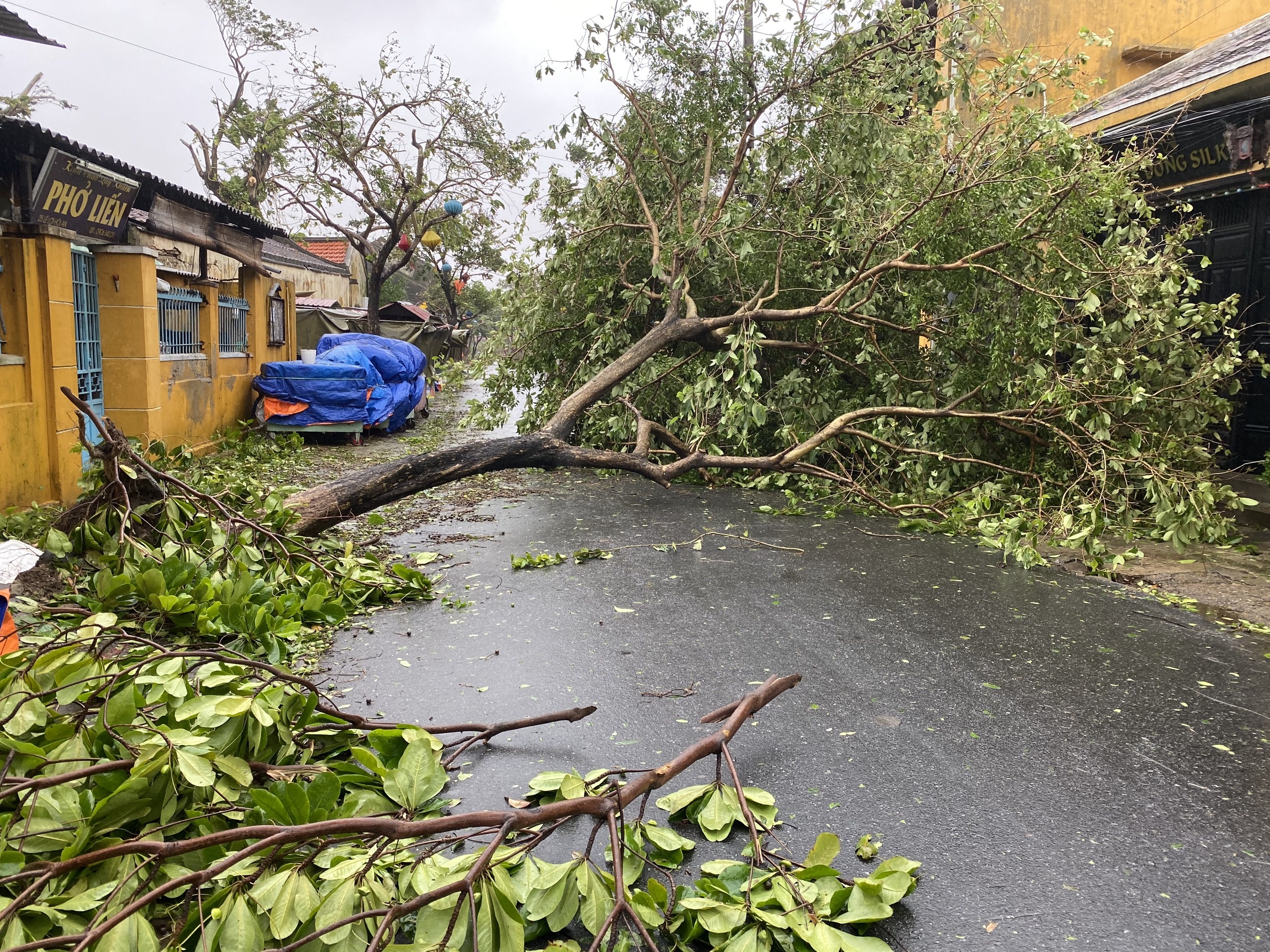 bao so 9 vao mien trung anh 7