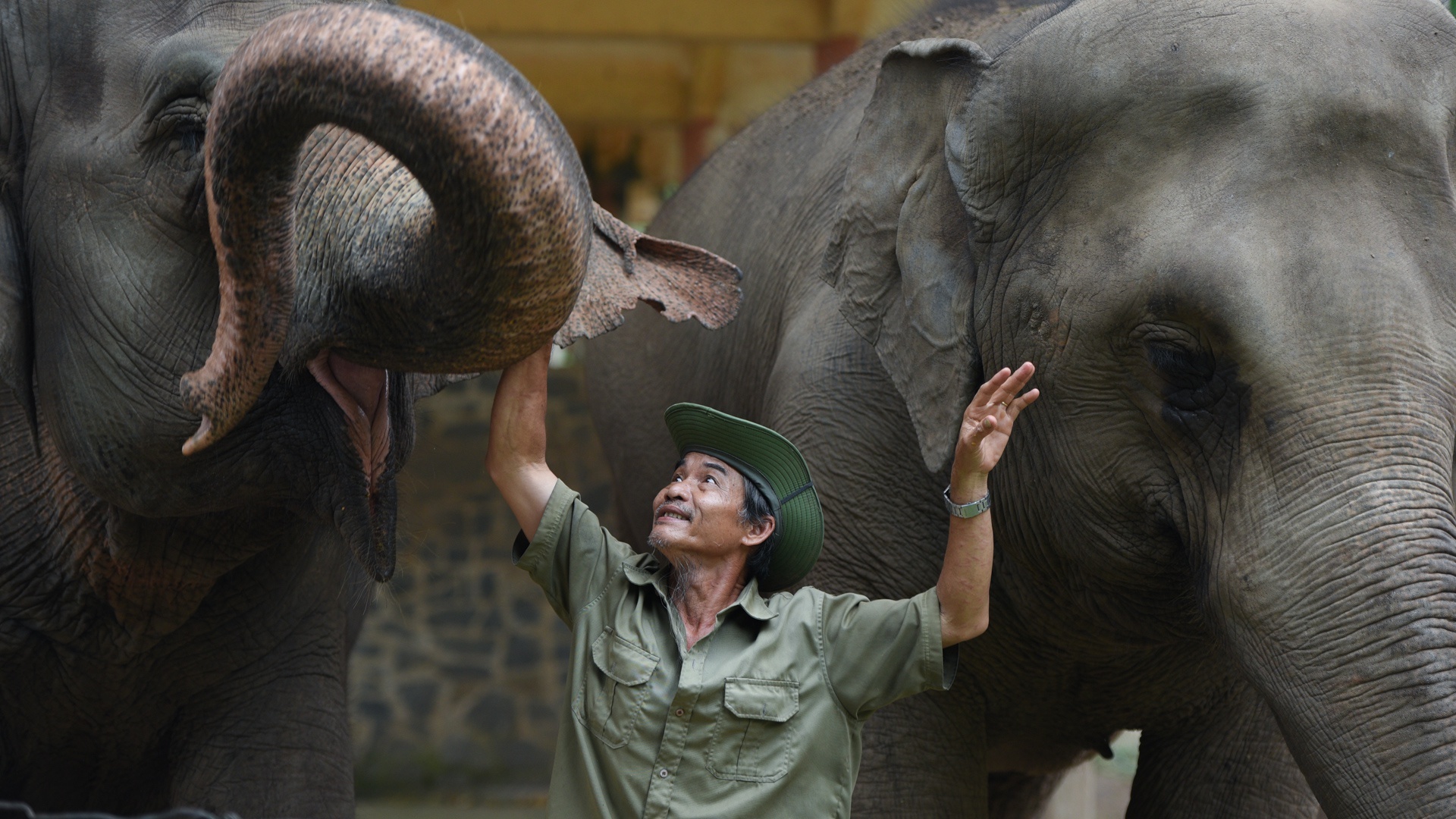 cau chuyen anh hap dan tren Zing anh 1