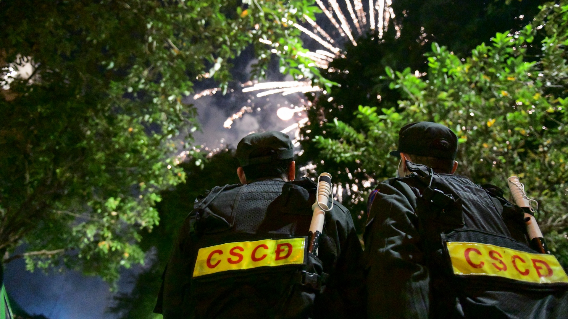 CSCD bao ve phao hoa anh 14