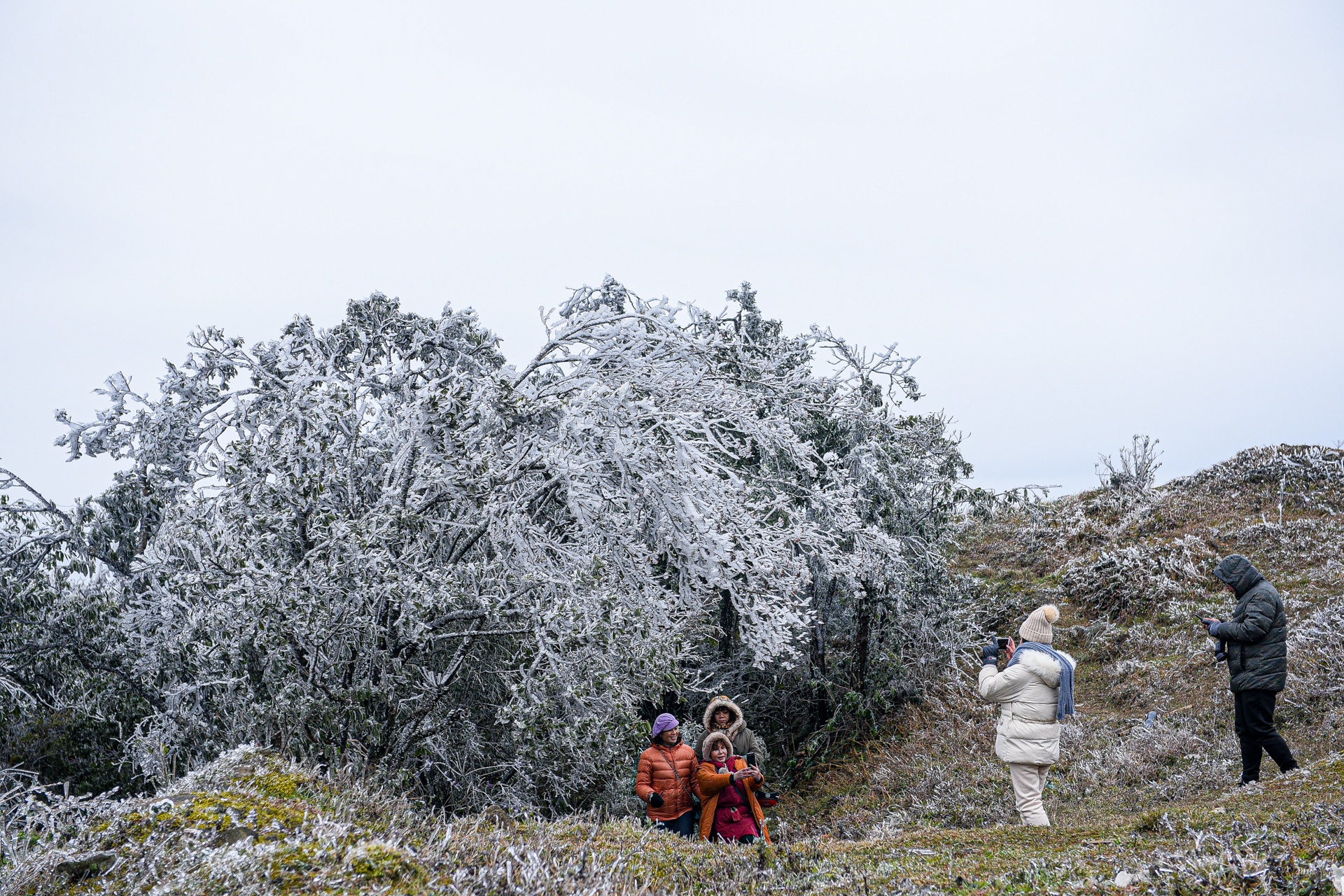 bang tuyet tren dinh Mau Son anh 1