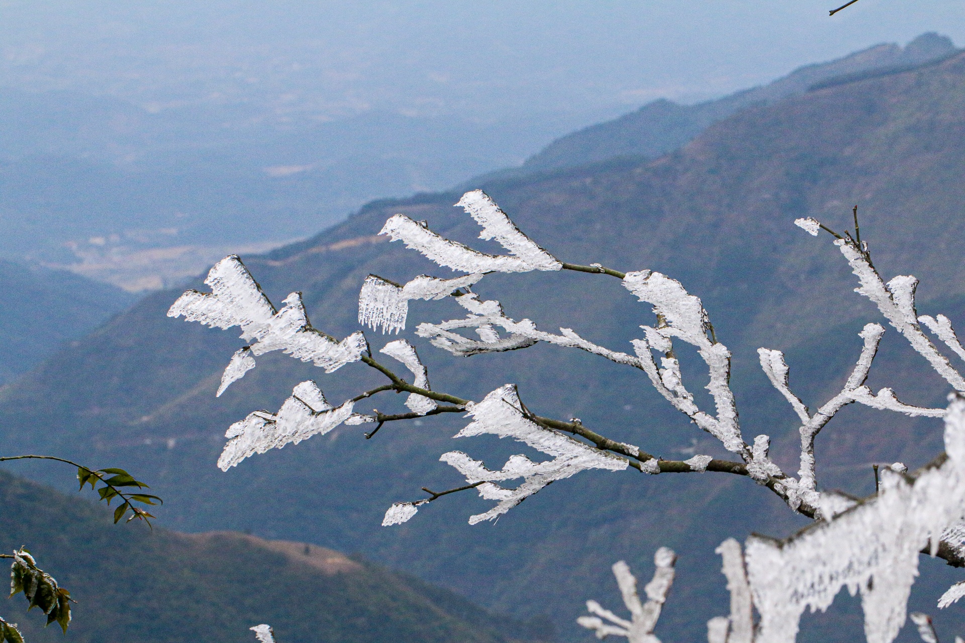 bang tuyet tren dinh Mau Son anh 2