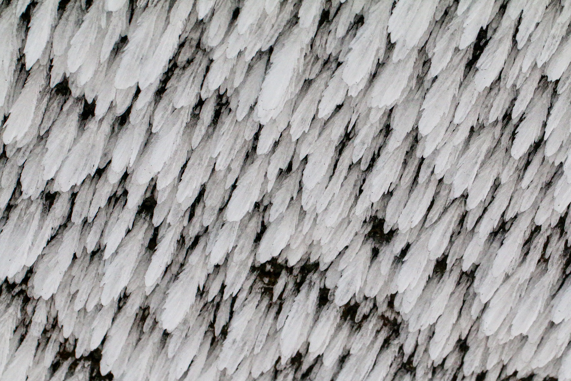 bang tuyet tren dinh Mau Son anh 10