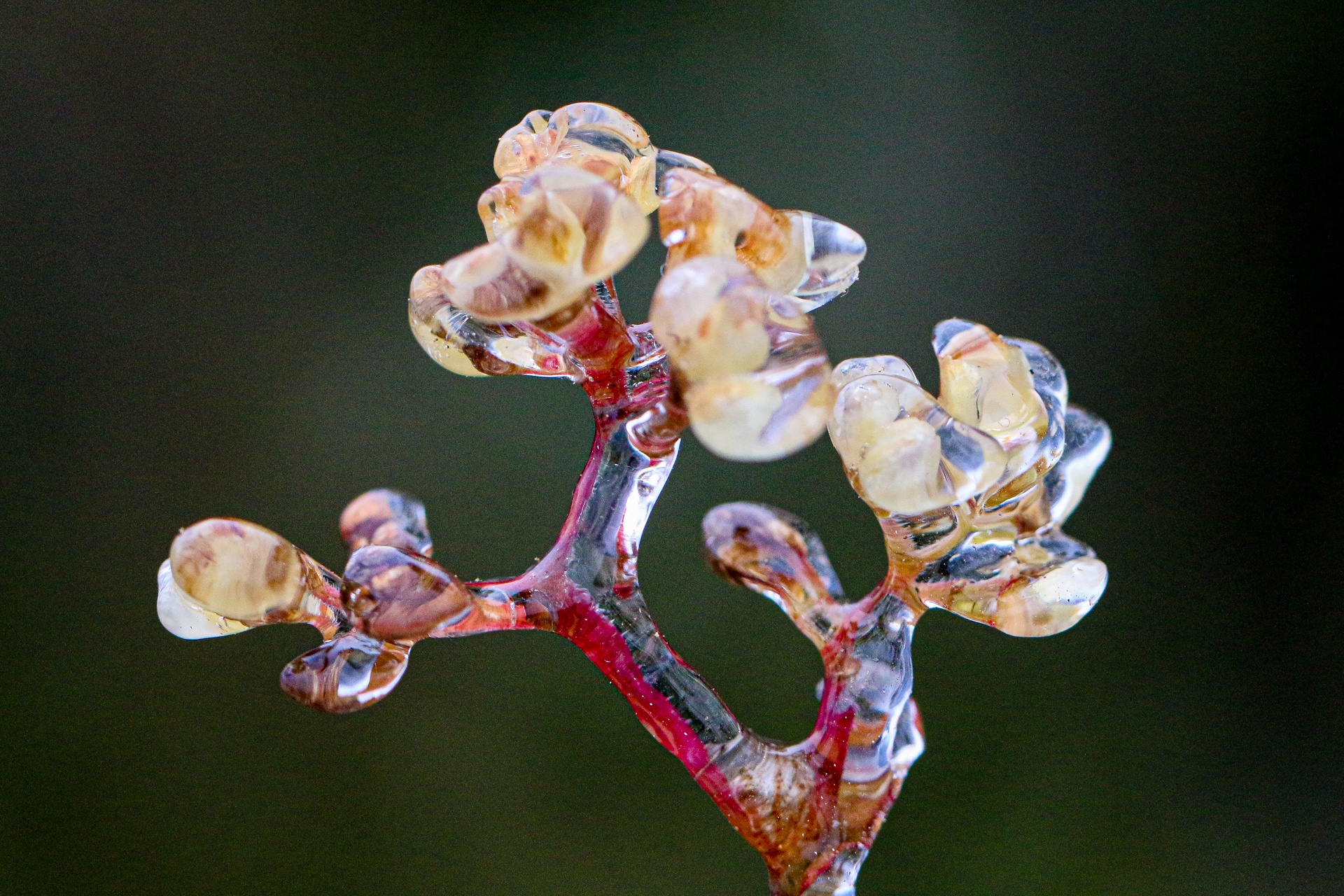 bang tuyet tren dinh Mau Son anh 13