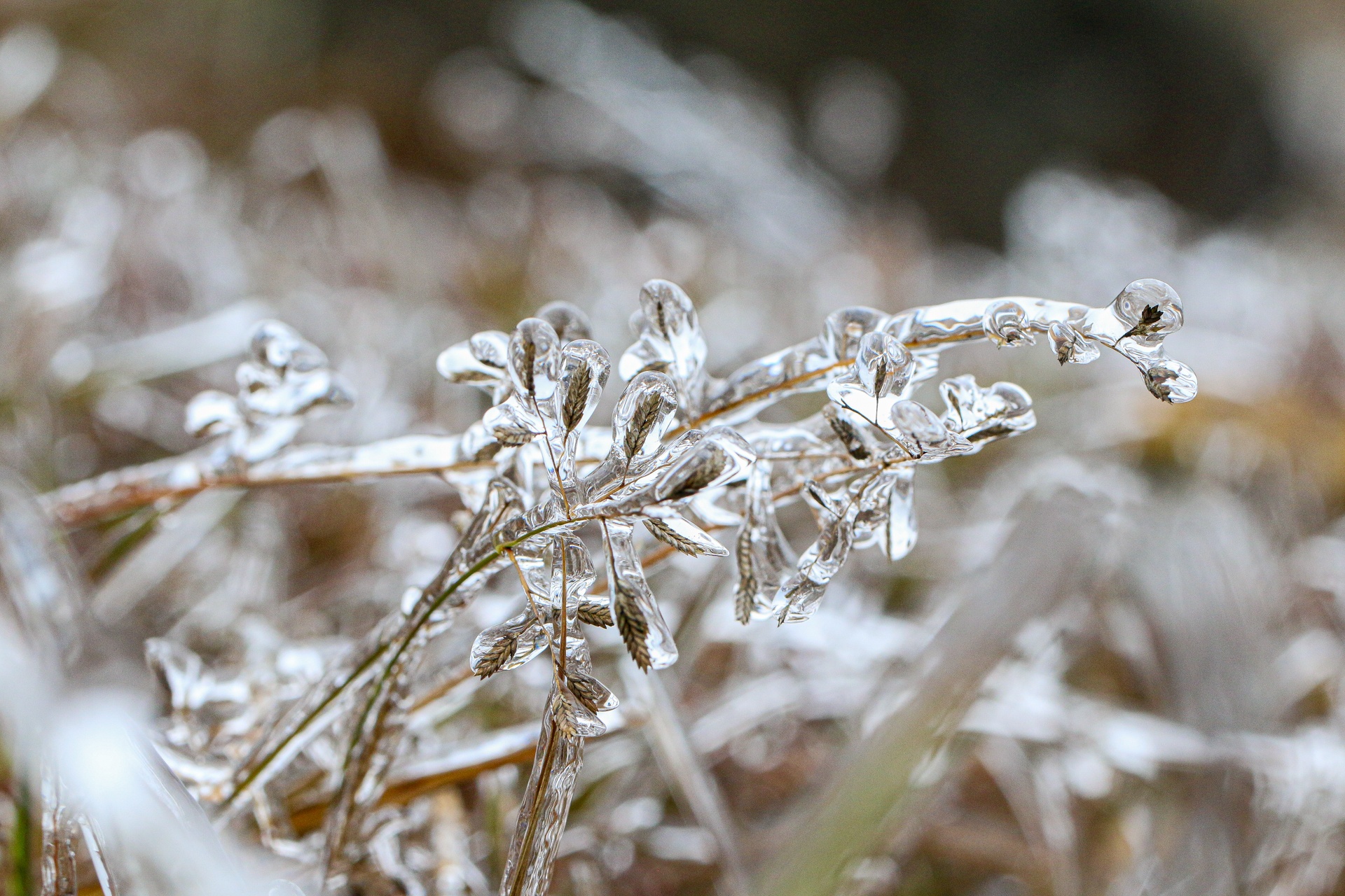 bang tuyet tren dinh Mau Son anh 12
