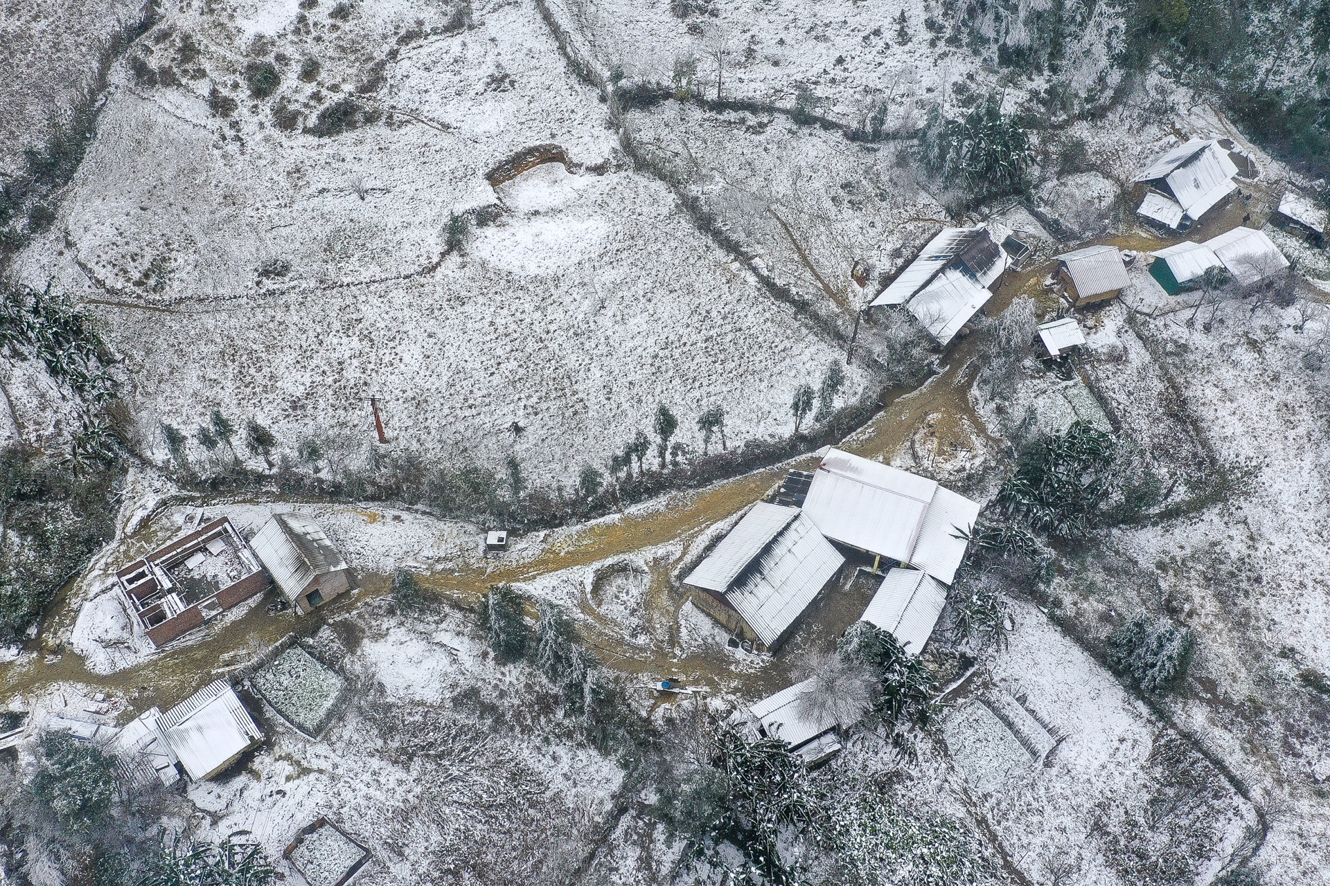 tuyet roi o Y Ty anh 4