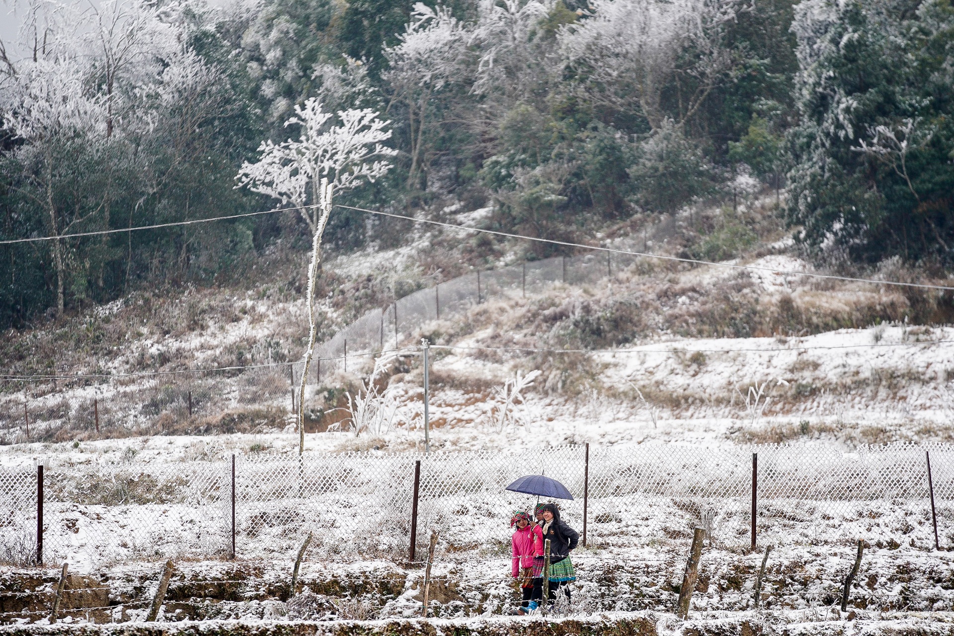 tuyet roi o Y Ty anh 11