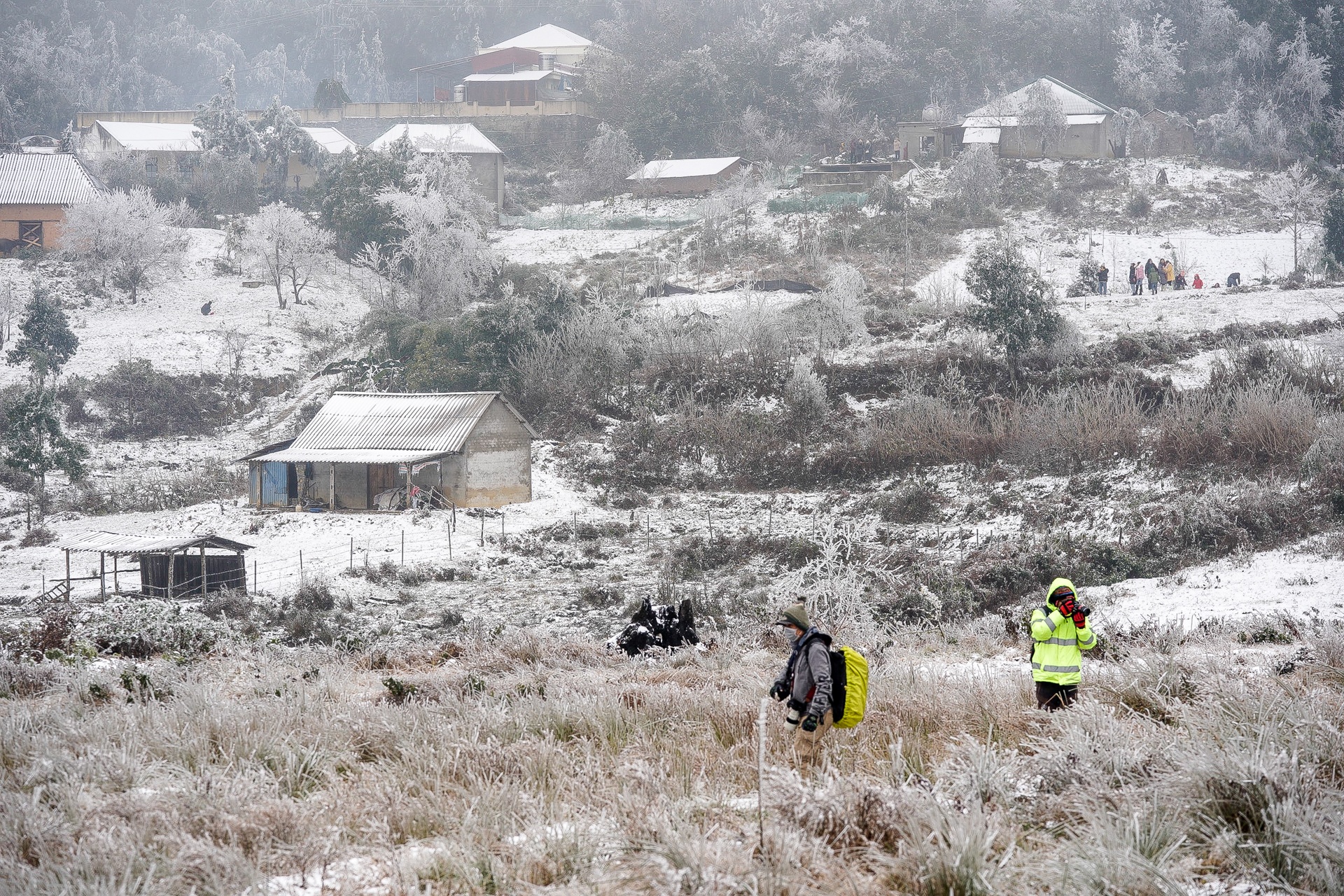 tuyet roi o Y Ty anh 12