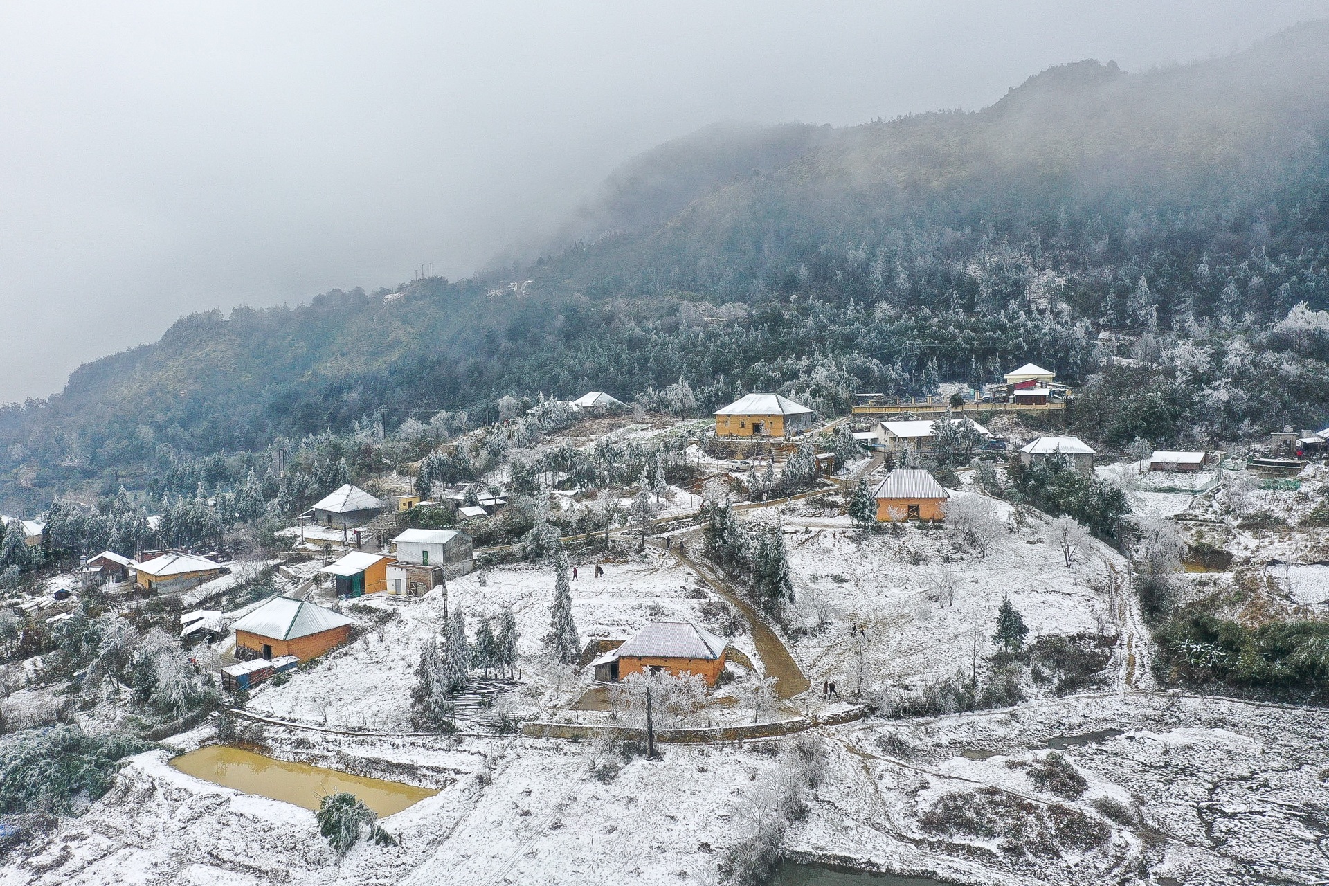 tuyet roi o Y Ty anh 1