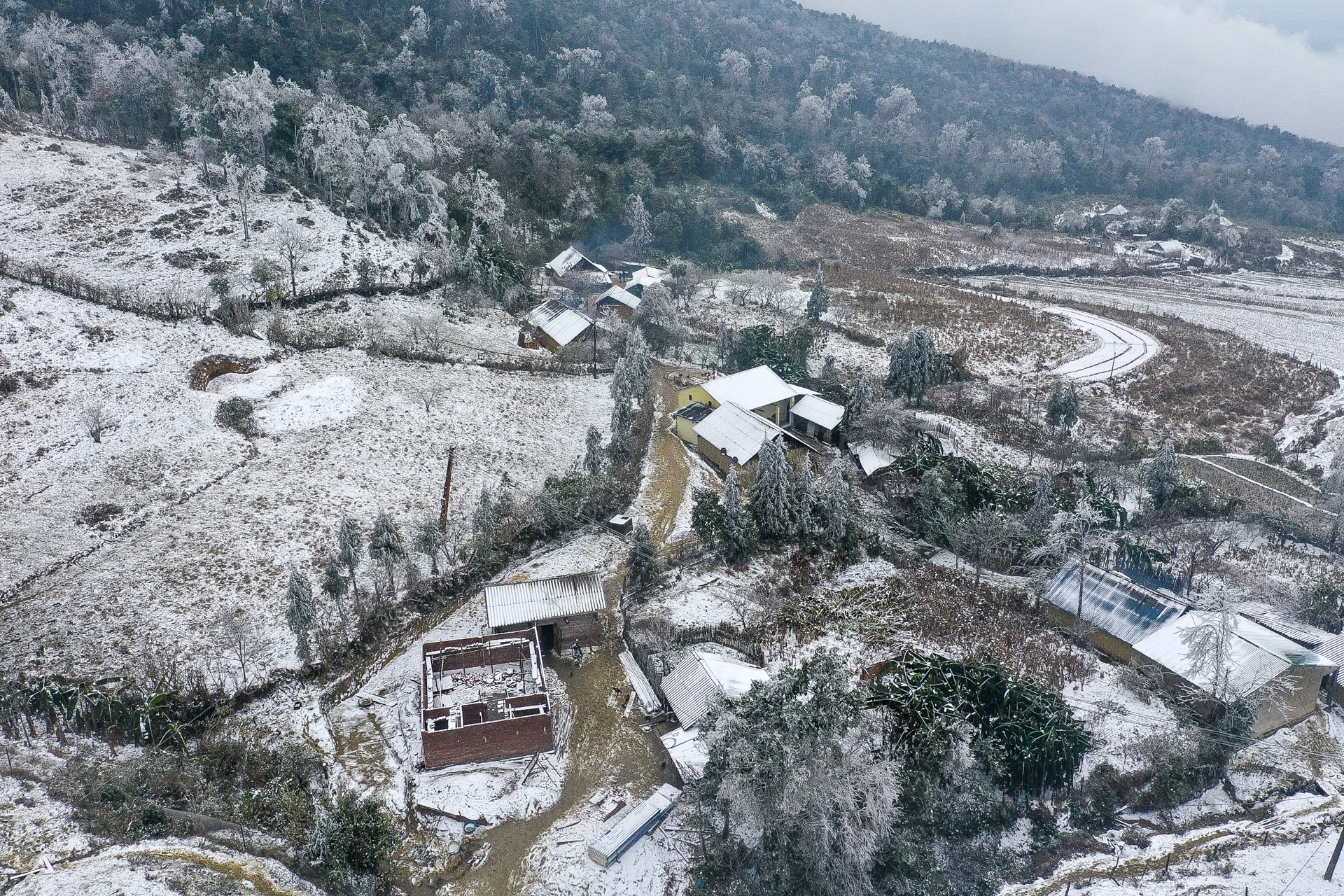 tuyet roi o Y Ty anh 3