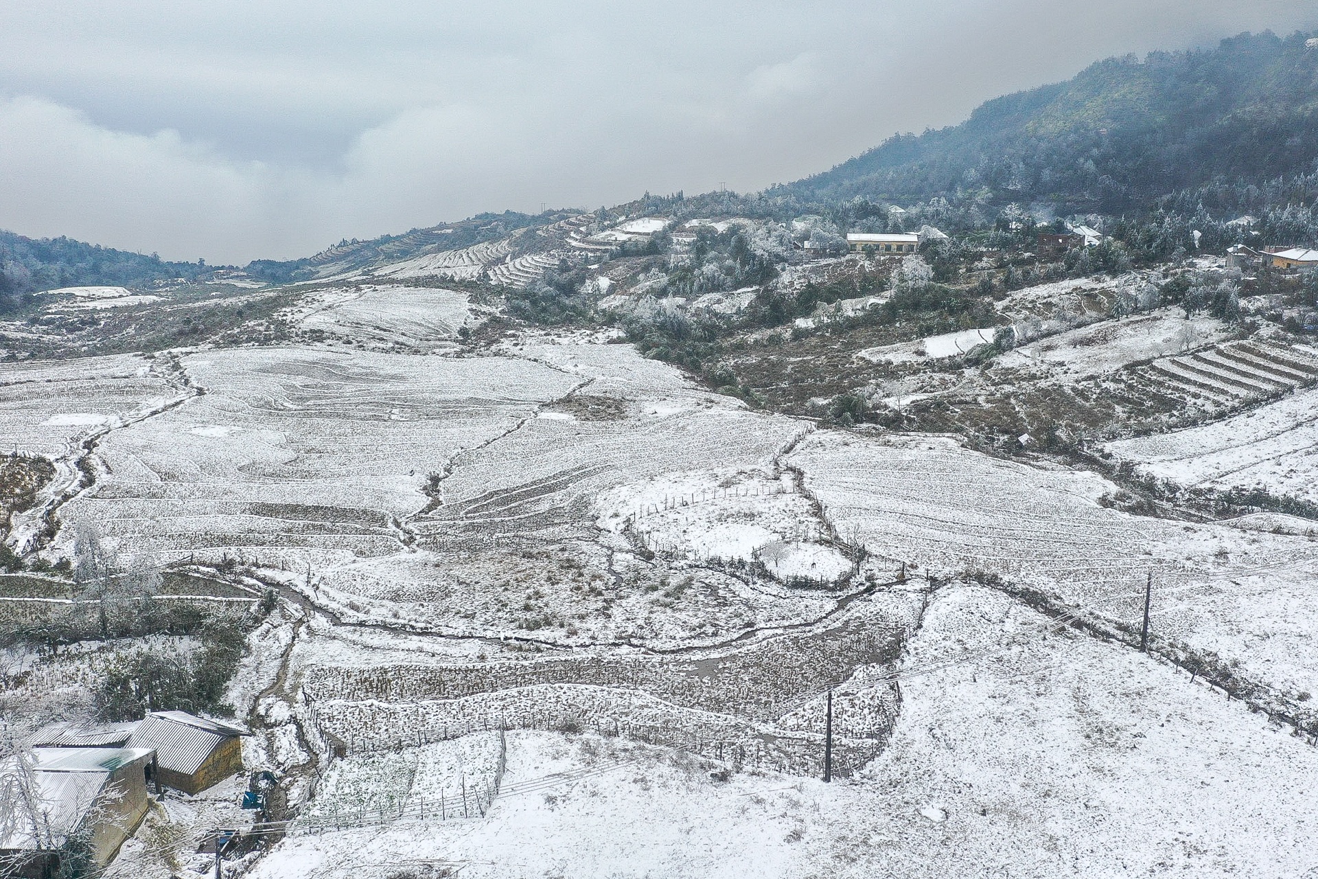 tuyet roi o Y Ty anh 2