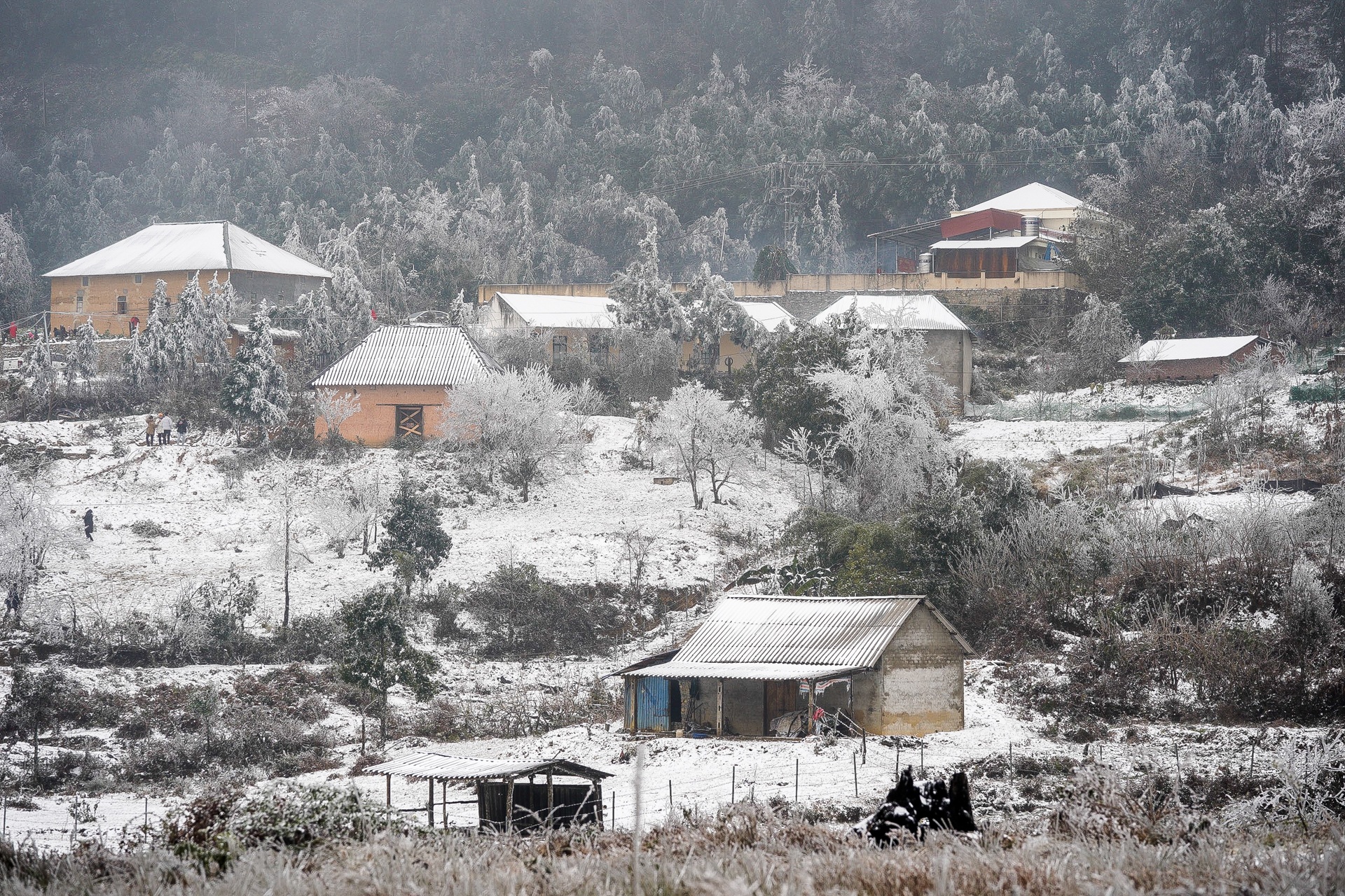 tuyet roi o Y Ty anh 9