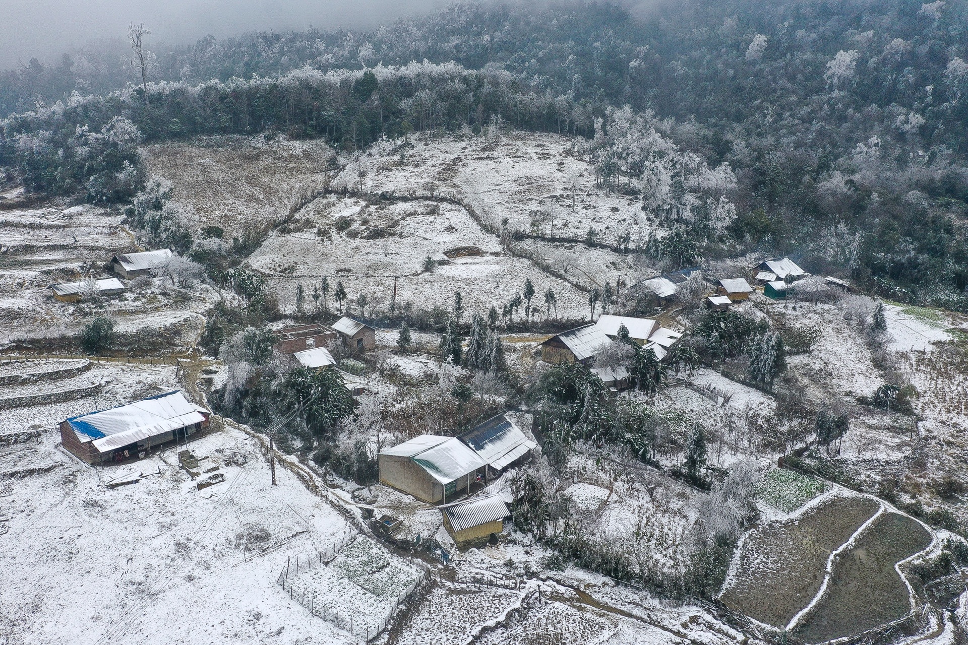 tuyet roi o Y Ty anh 10