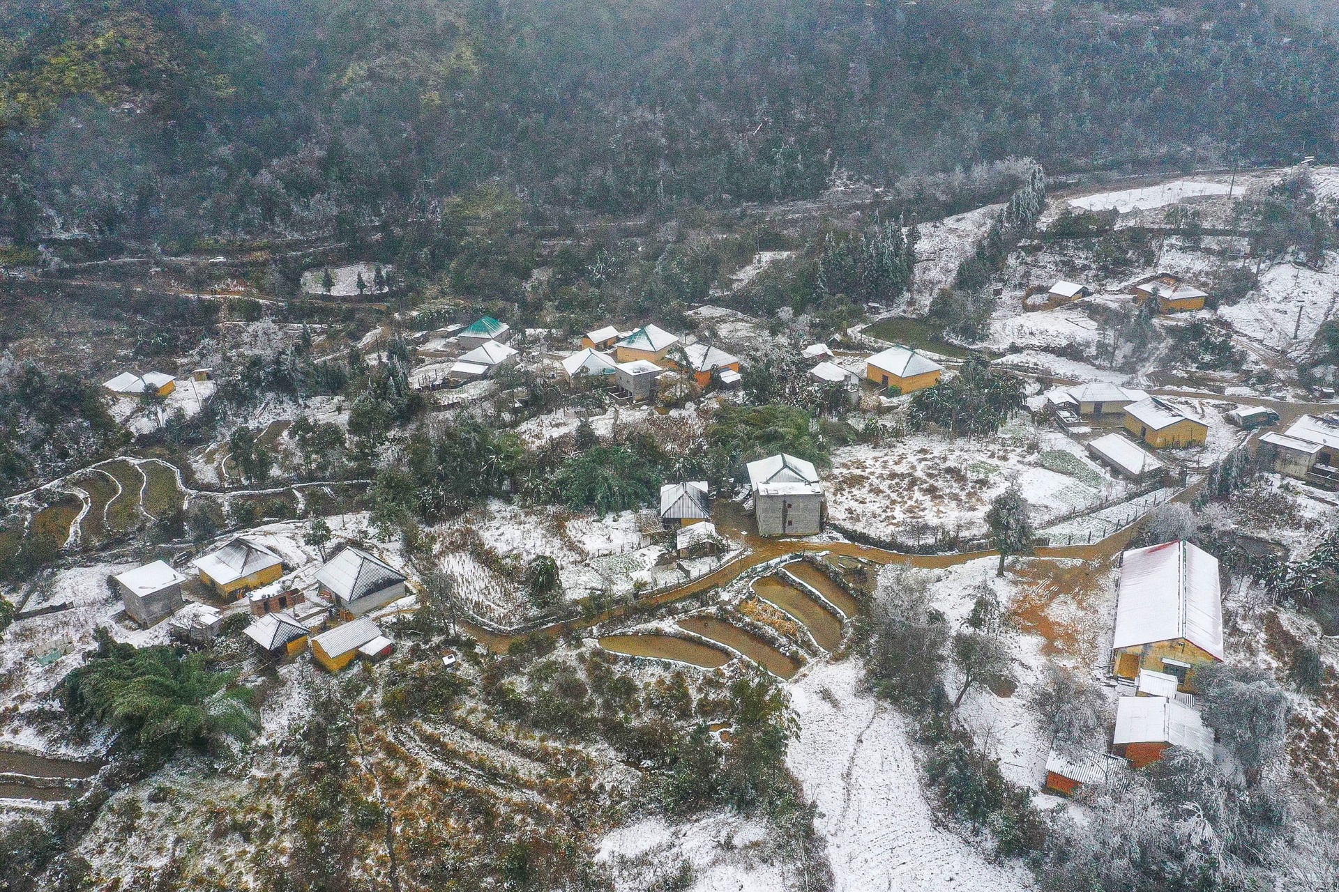 tuyet roi o Y Ty anh 8