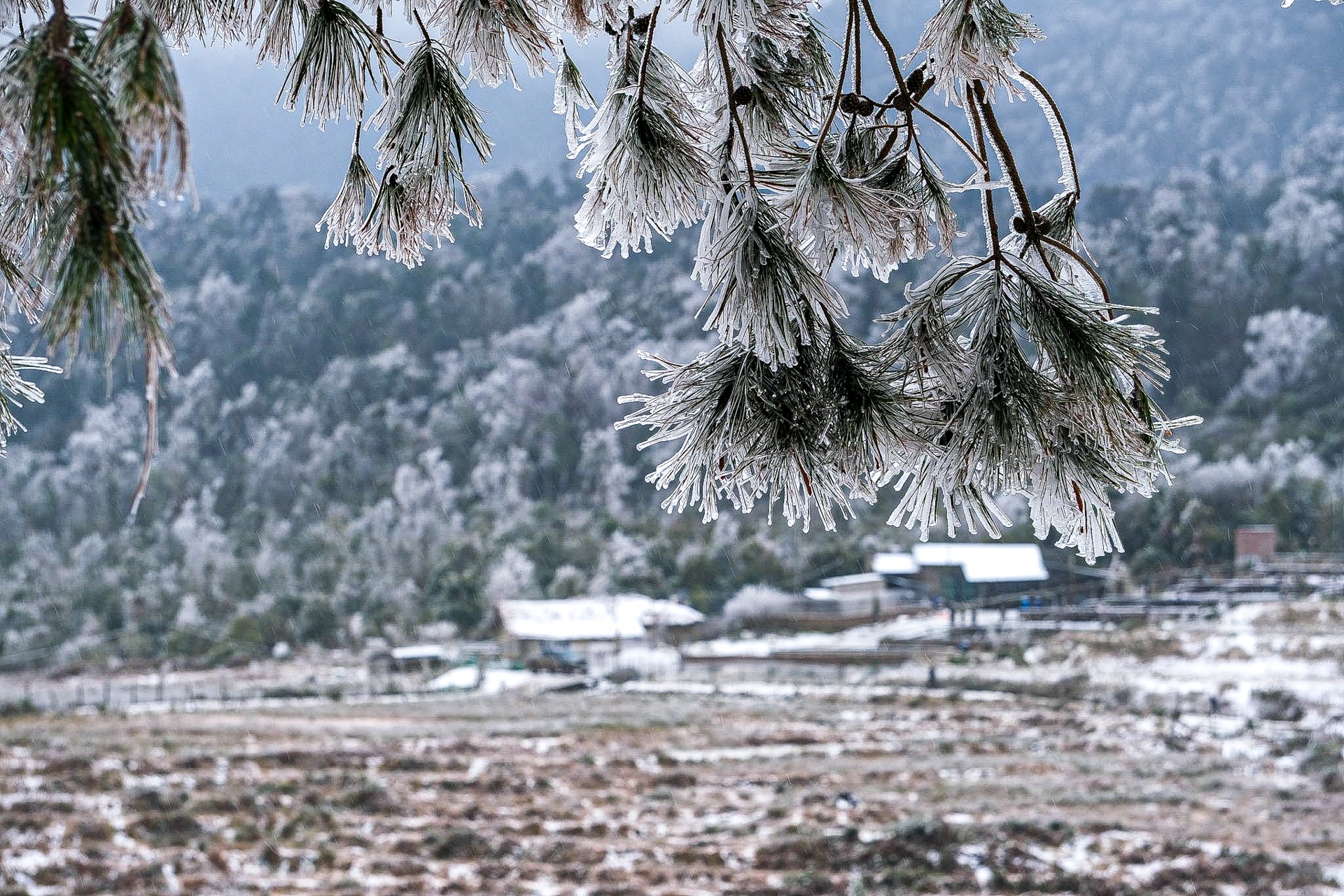 tuyet roi o Y Ty anh 16