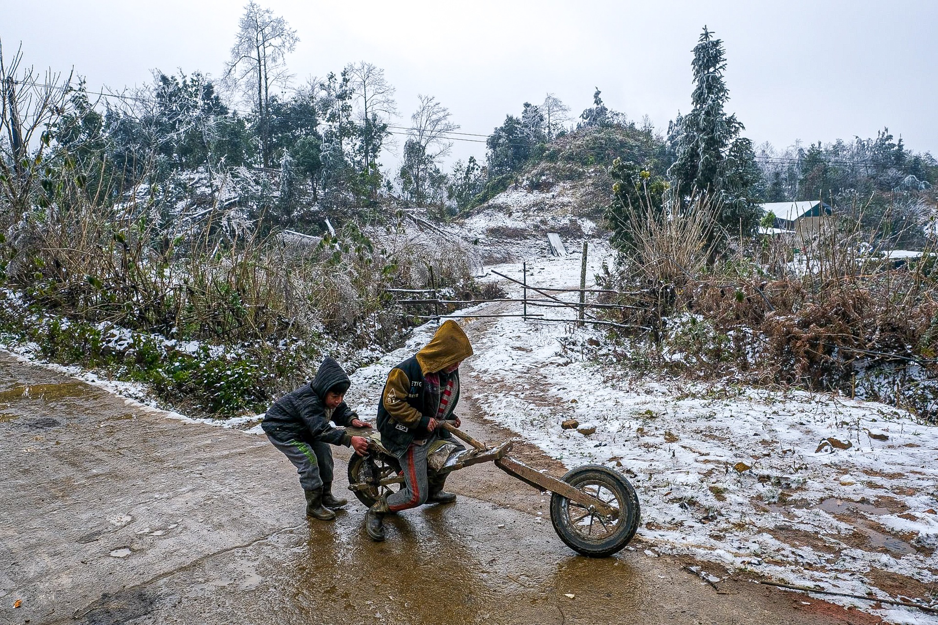 tuyet roi o Y Ty anh 13