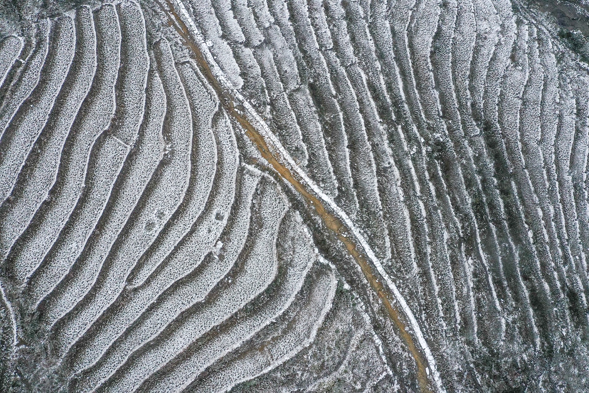 tuyet roi o Y Ty anh 6